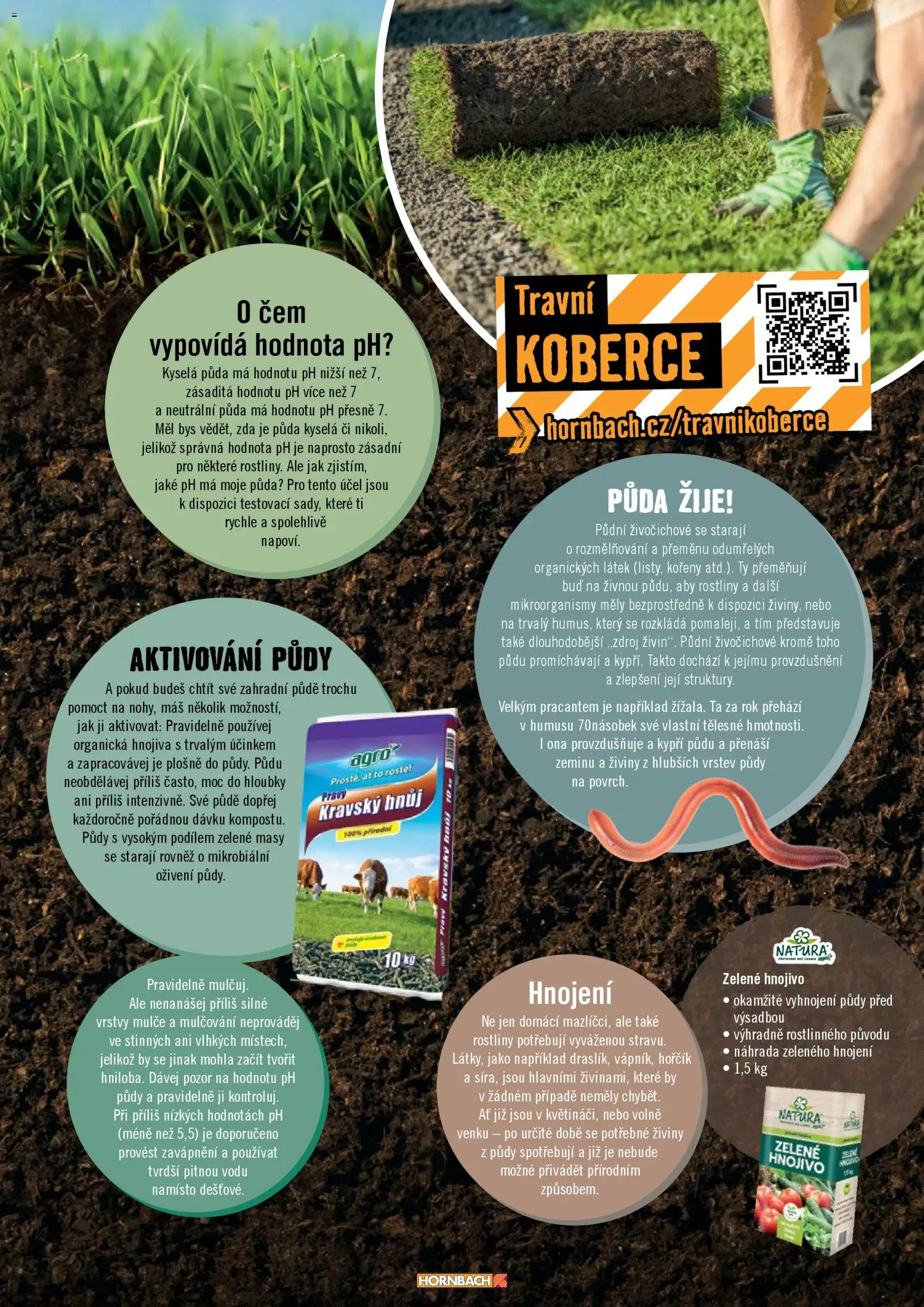 HORNBACH leták - Zahrada od 01.01.2026 | Strana: 13 | Produkty: Hořčík, Koberce, Rostliny, Hnojivo