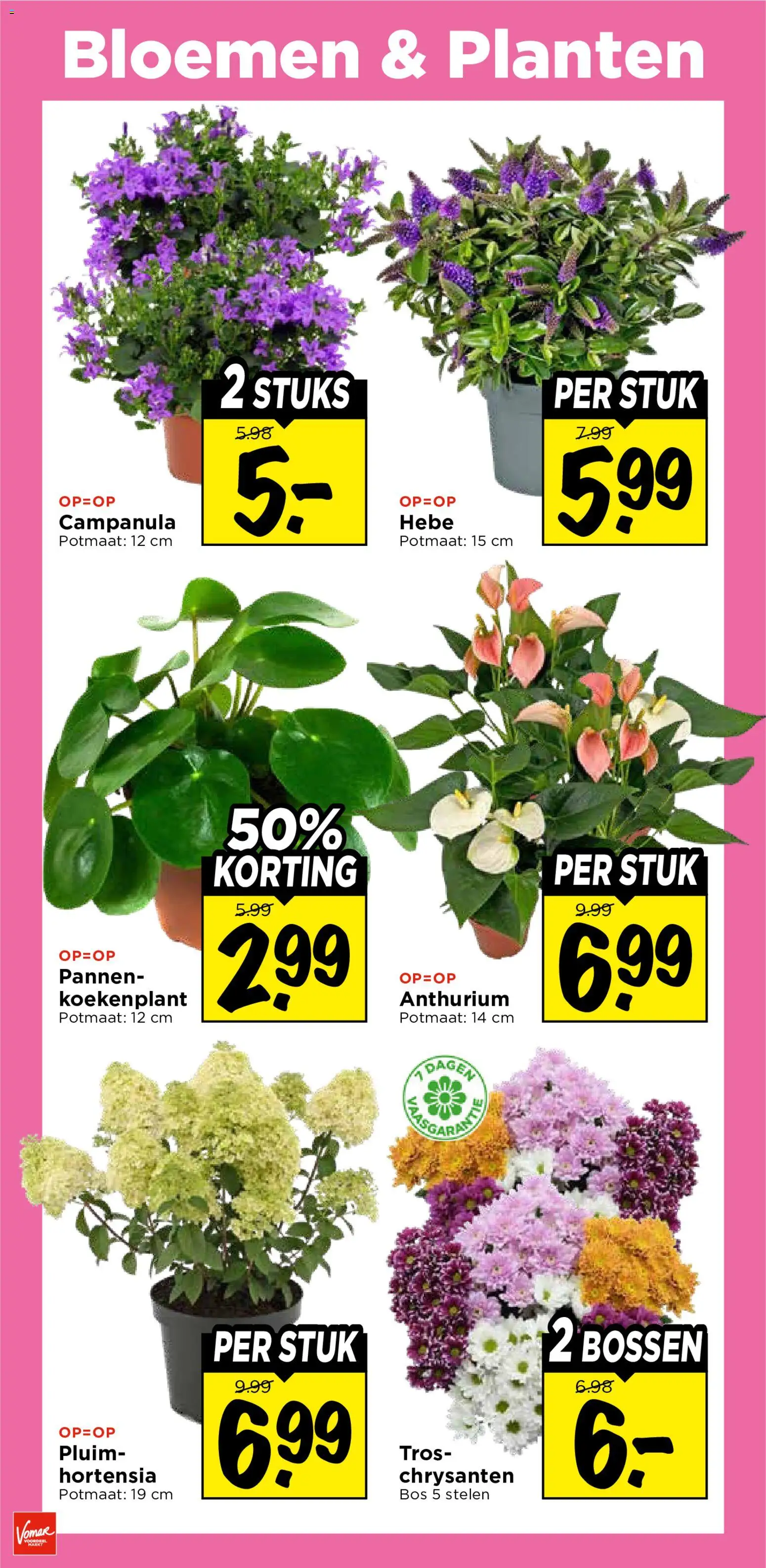 {H1} | Pagina: 26 | Producten: Pannen, Bloemen