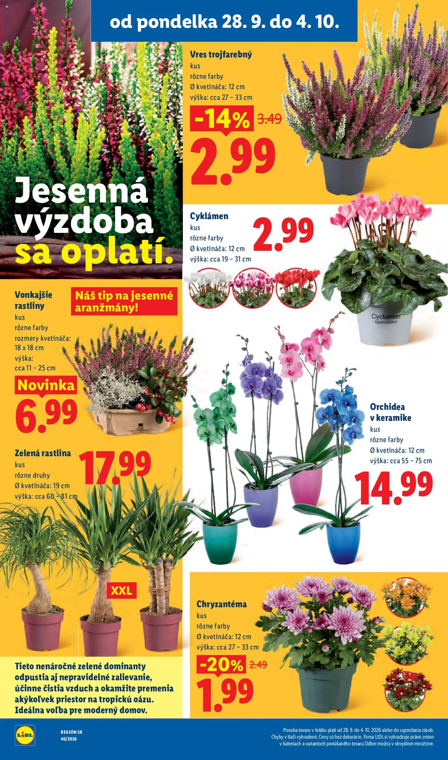 Nové Lidl akcie – leták je platný od 28.09.2026 | Strana: 51