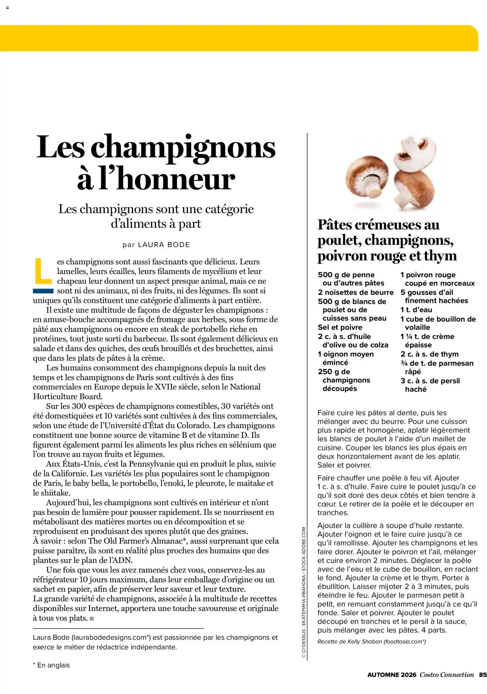 {H1} | Page: 85 | Produits: Poêle, Plantes, Pâte, Thé
