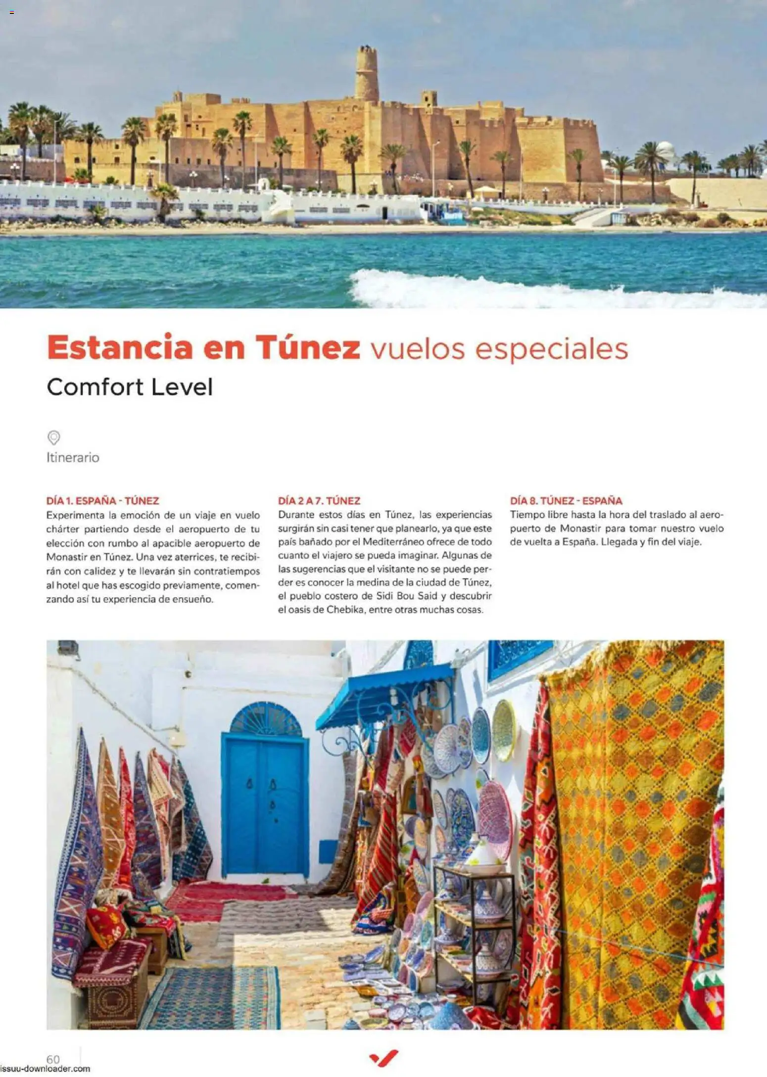 Halcón Viajes Comfort level 2026 │ válido desde el 04.06.2026 | Página: 60 | Productos: Té