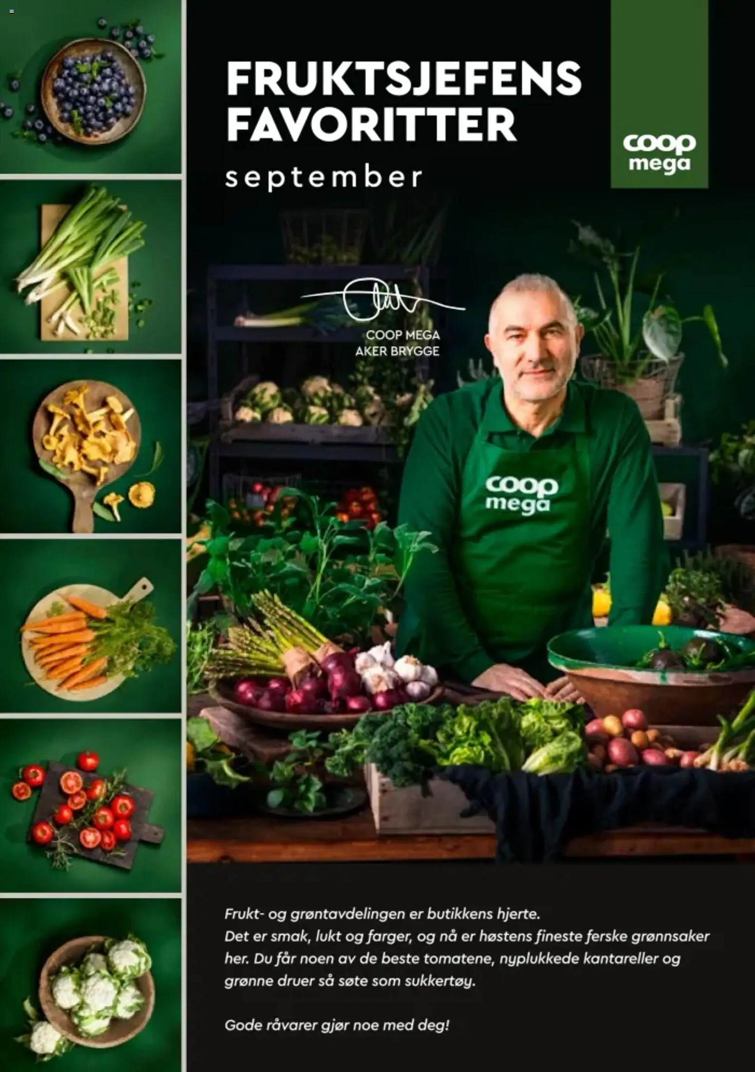 {H1} | Side: 1 | Produkter: Frukt, Druer, Grønnsaker