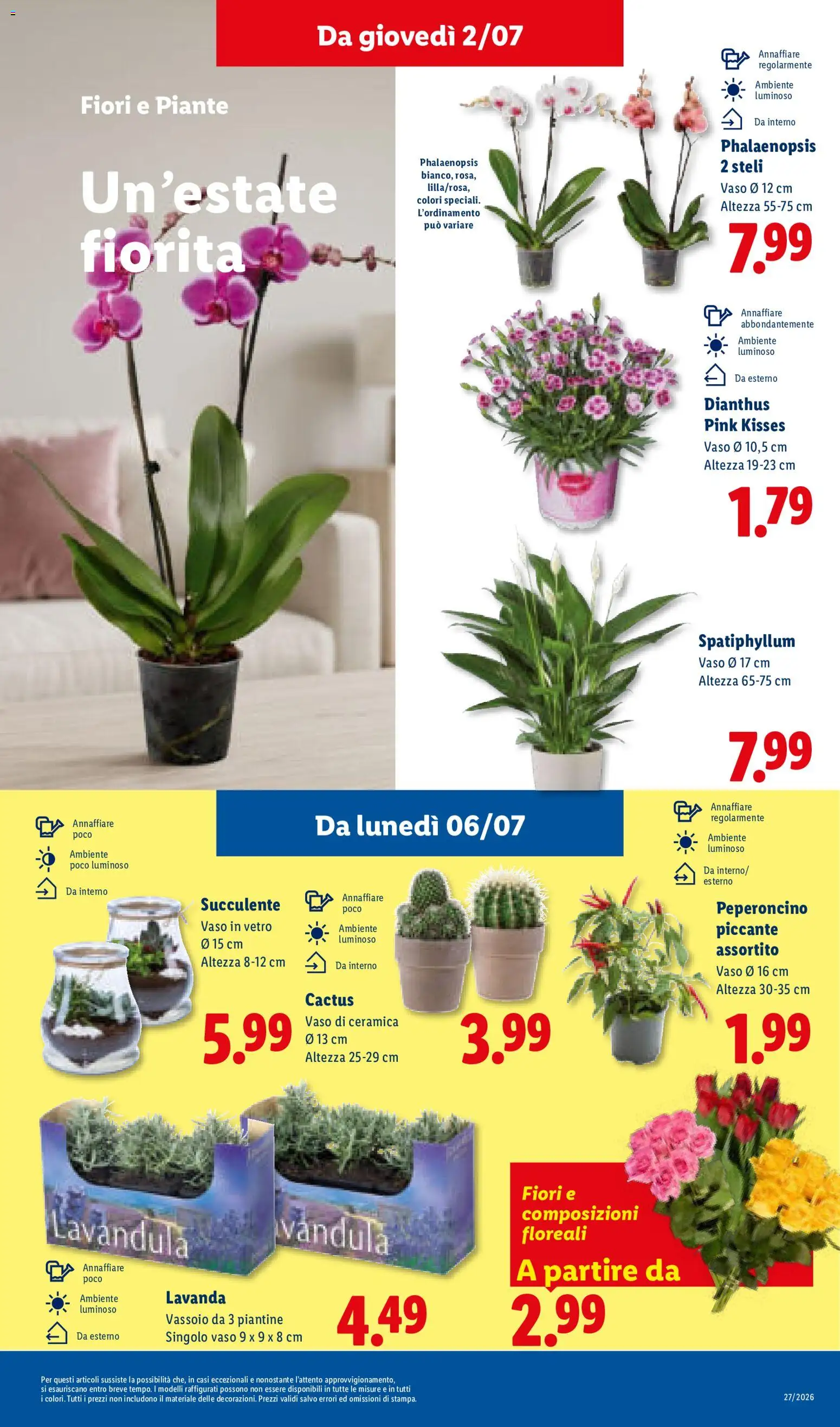 Volantino Lidl del 02/07/2026 | Pagina: 29