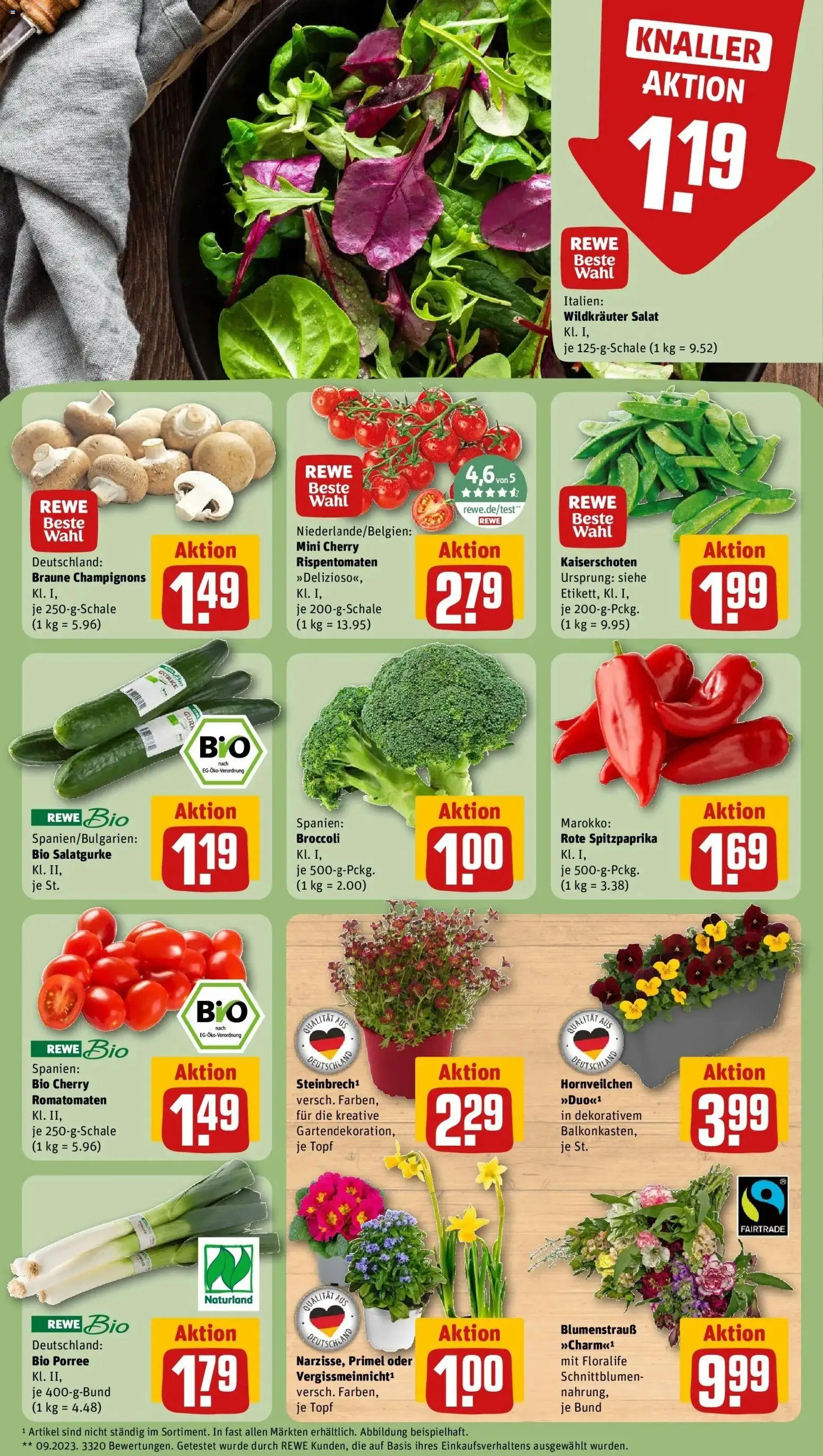 Rewe Prospekt Hofgeismar	 – gültig ab 09.03.2026 | Seite: 7 | Produkte: Champignons, Salat