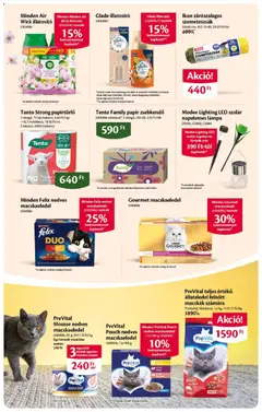 EcoFamily akciós újság - amely érvényes a következő dátumtól: 04.06.2026 | Oldal: 15