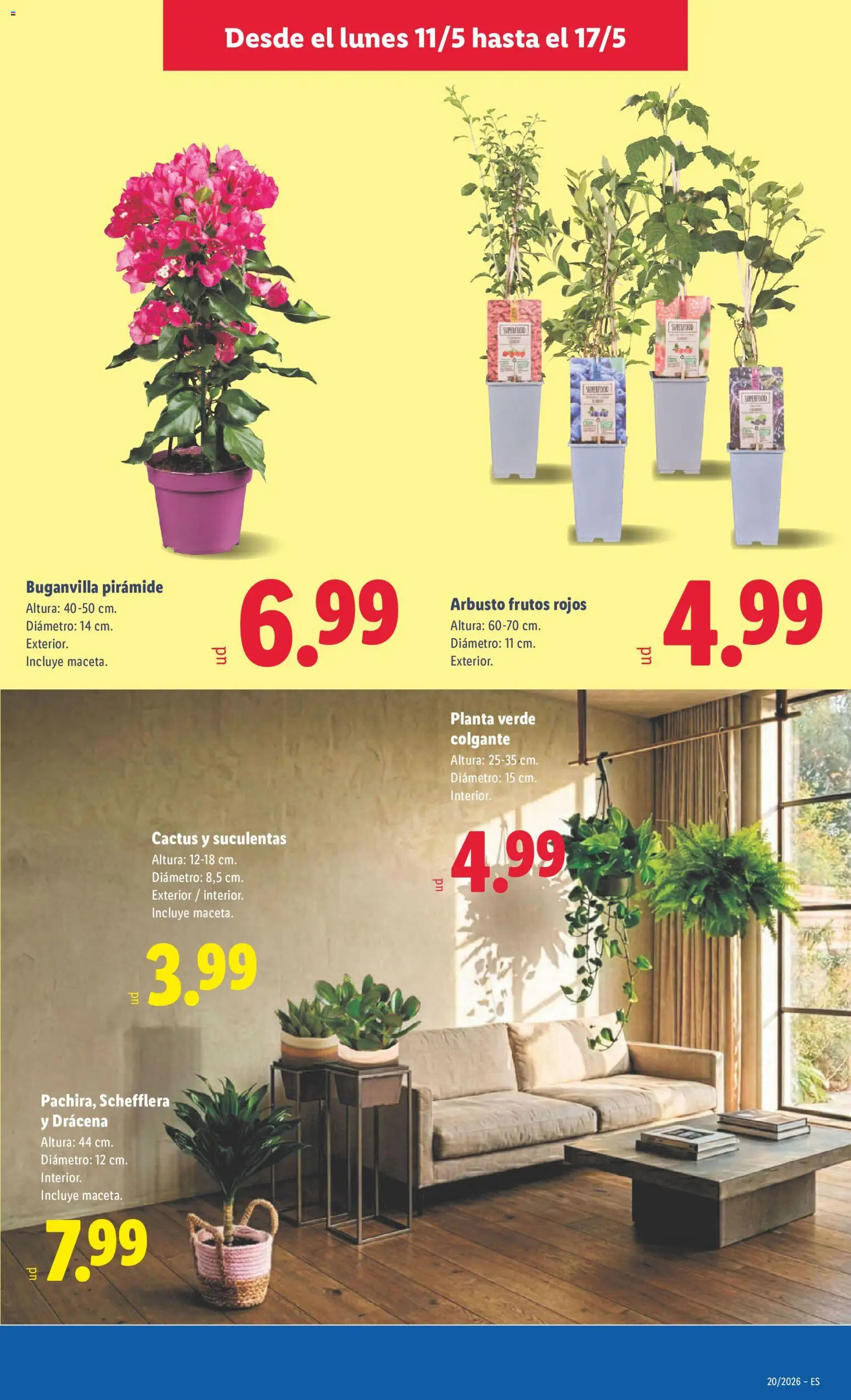 Lidl folleto │ válido desde el 11.05.2026 | Página: 41