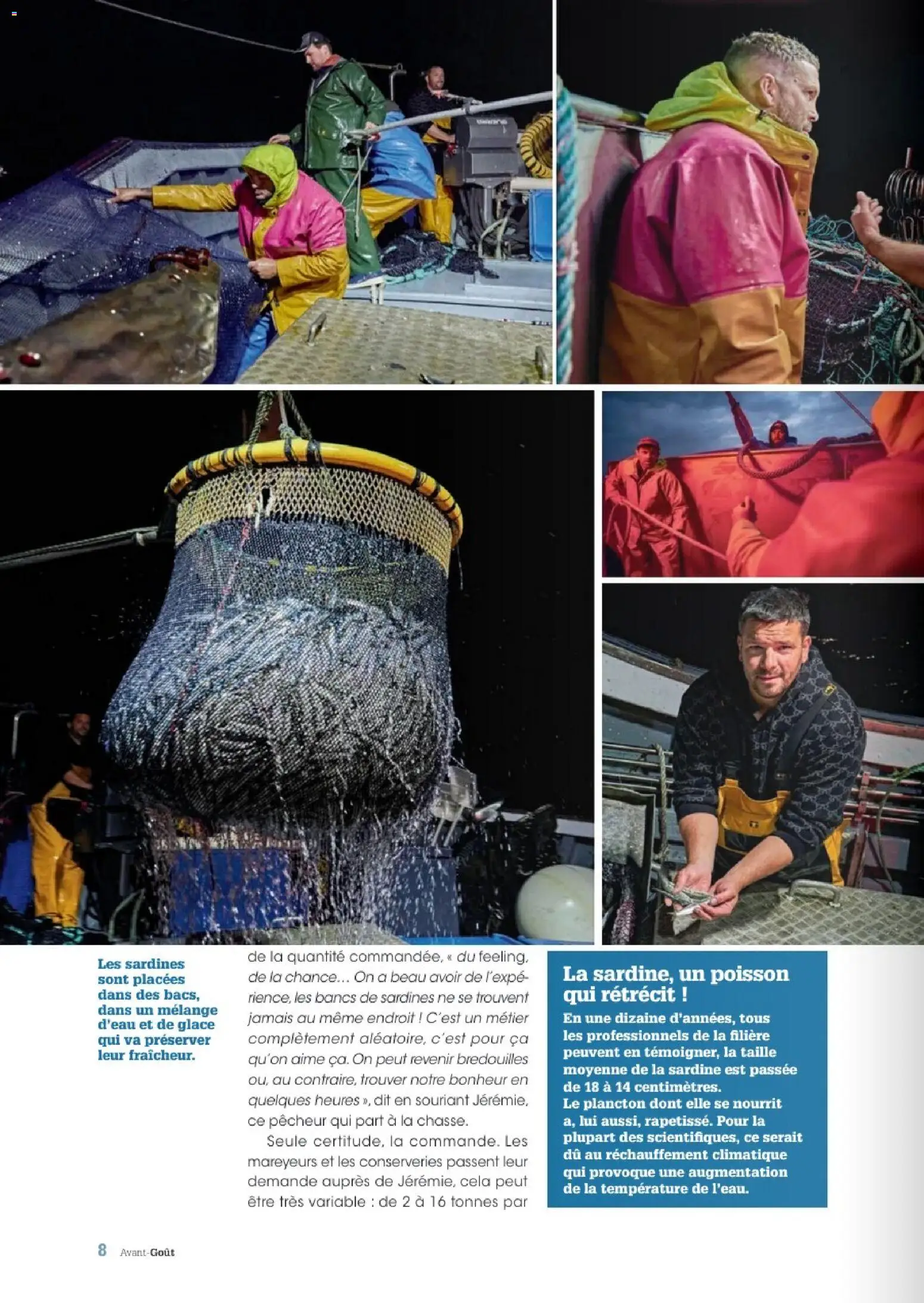 {H1} | Page: 8 | Produits: Glace, Sardine, Sardines, Poisson