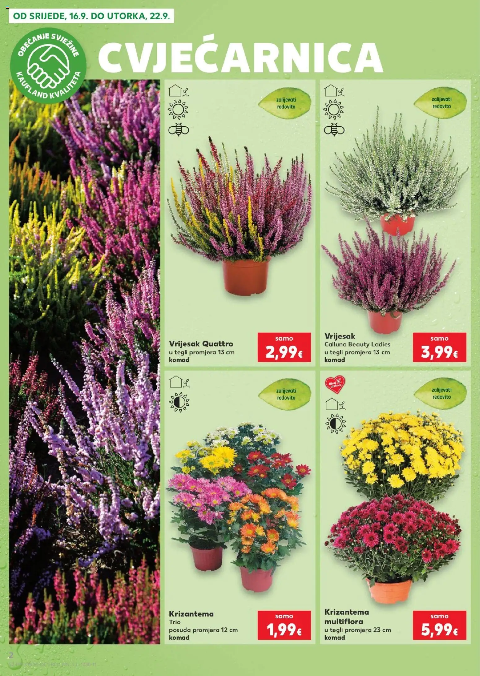 Kaufland katalog | vrijedi od 16.09.2026 | Stranica: 2 | Proizvodi: Vrijesak