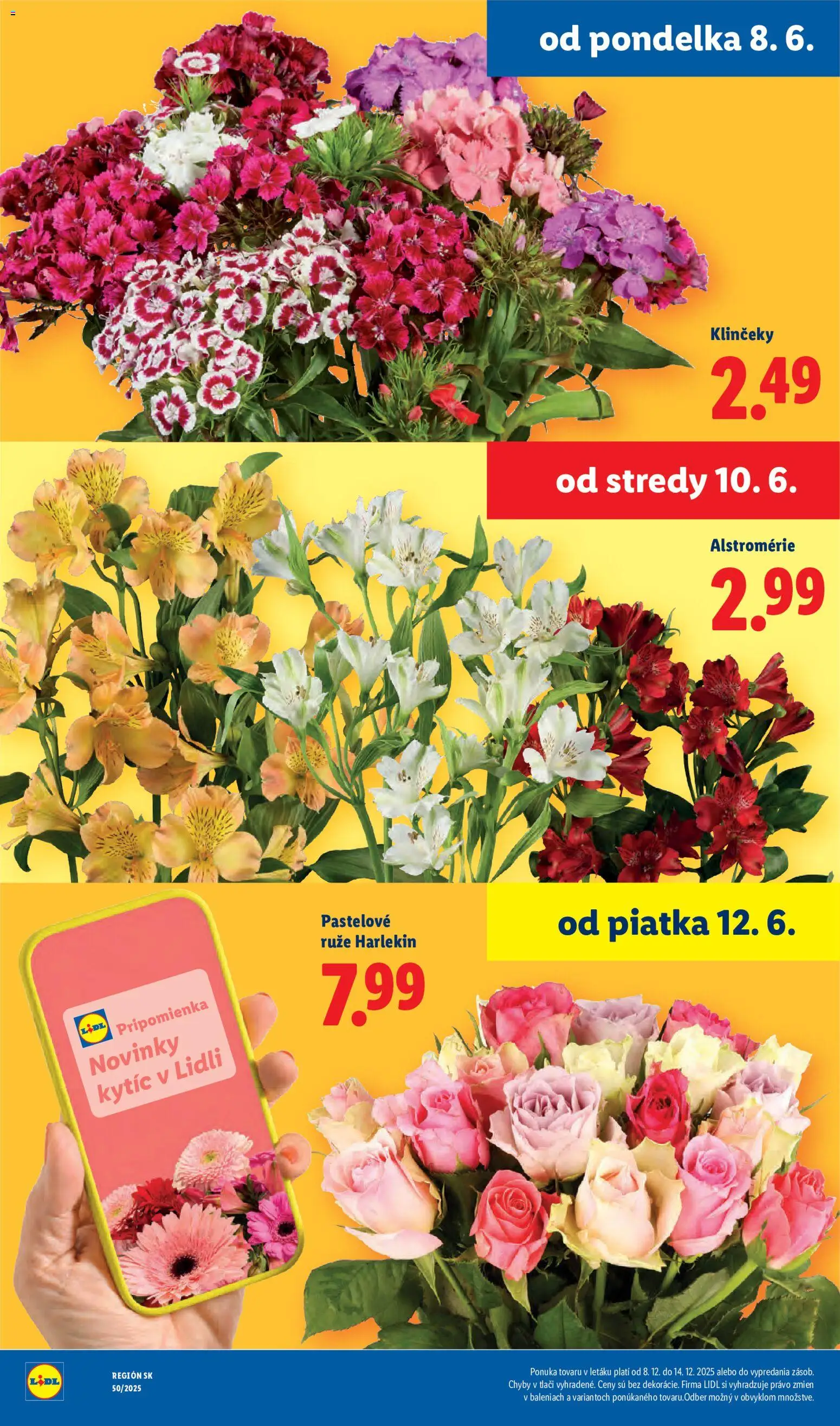 Nové Lidl akcie – leták je platný od 08.06.2026 | Strana: 45 | Produkty: Ruže