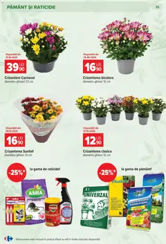 Ofertele Carrefour valabile de la 23.09.2026 | Pagină: 29 | Produse: Gradina, Raft, Ghiveci, Flori