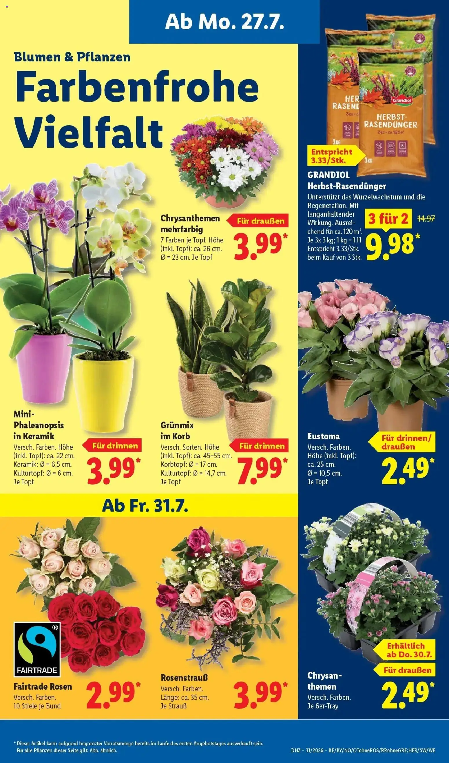 Lidl Prospekt Weikersheim – gültig ab 27.07.2026 | Seite: 7 | Produkte: Korb, Blumen