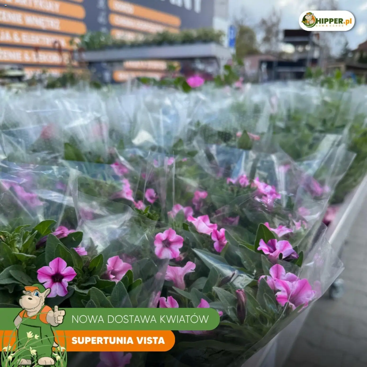 Hipper gazetka od 01.05.2026 | Strona: 2