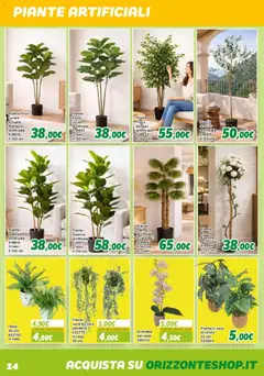Anteprima del volantino Orizzonte volantino Giardinaggio valido a partire dal 10/04/2026 | Pagina: 14 | Prodotti: Orchidea, Vaso