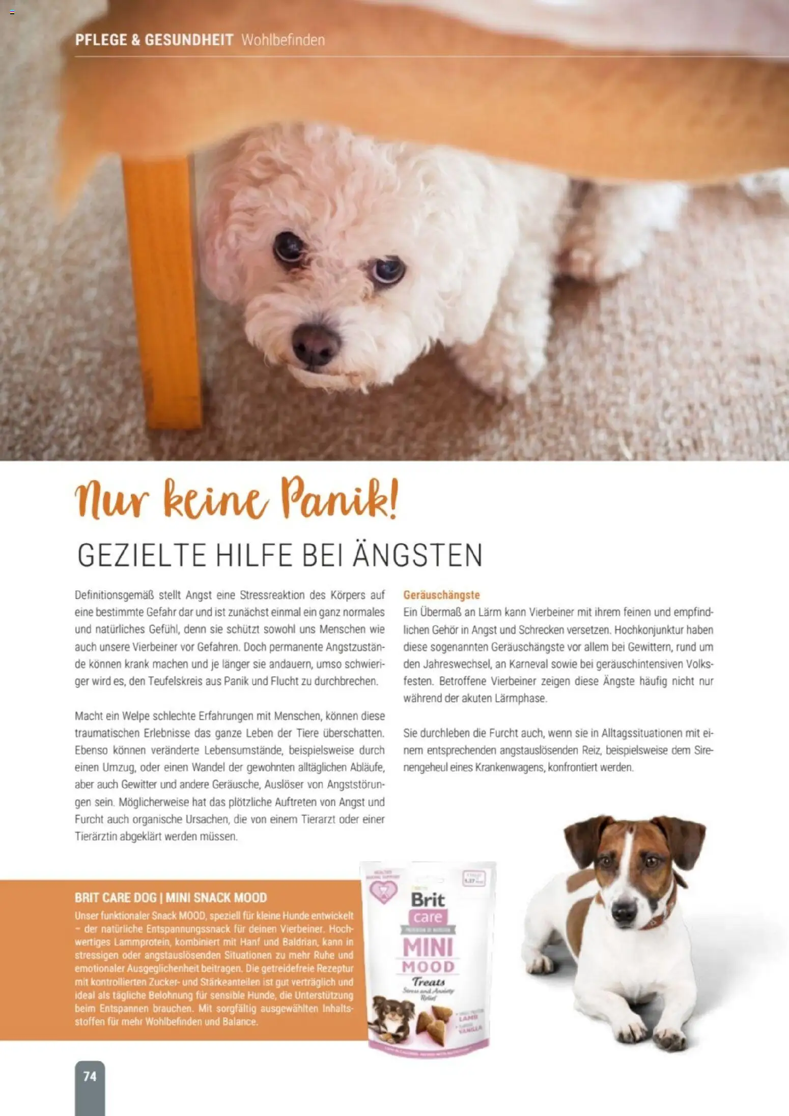 zookauf Themenkatalog Hund – gültig ab 18.05.2026 | Seite: 74 | Produkte: Zucker