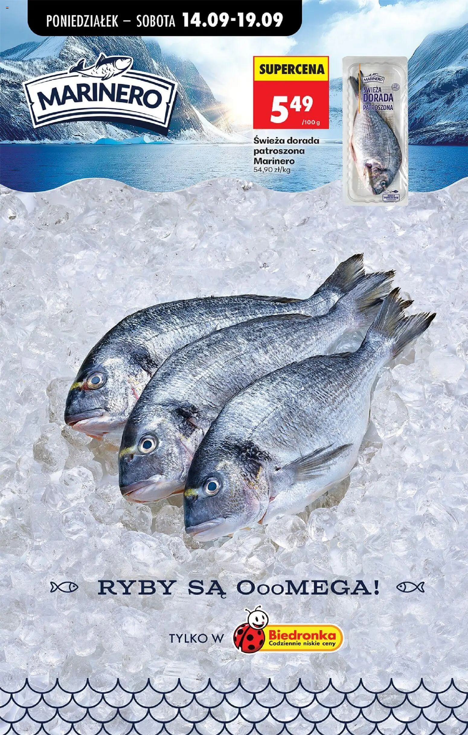 Biedronka gazetka od poniedziałku od 14.09.2026 | Strona: 44