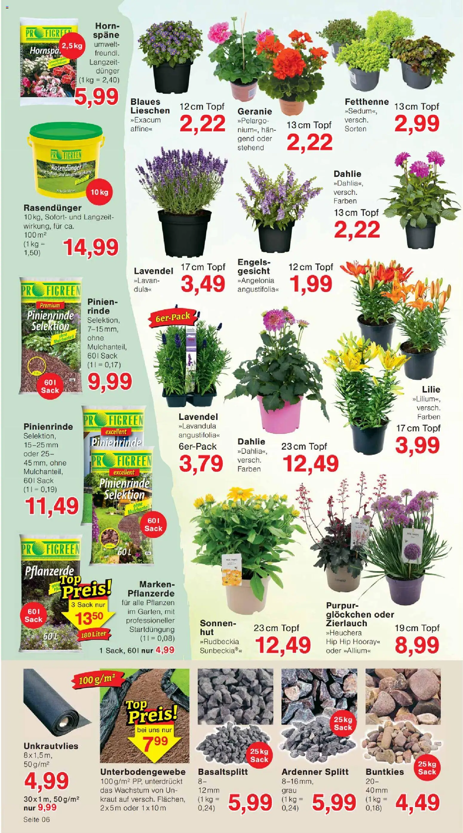 Wiglo Wunderland Prospekt – gültig ab 15.06.2026 | Seite: 10 | Produkte: Pflanzerde, Kraut, Lavendel