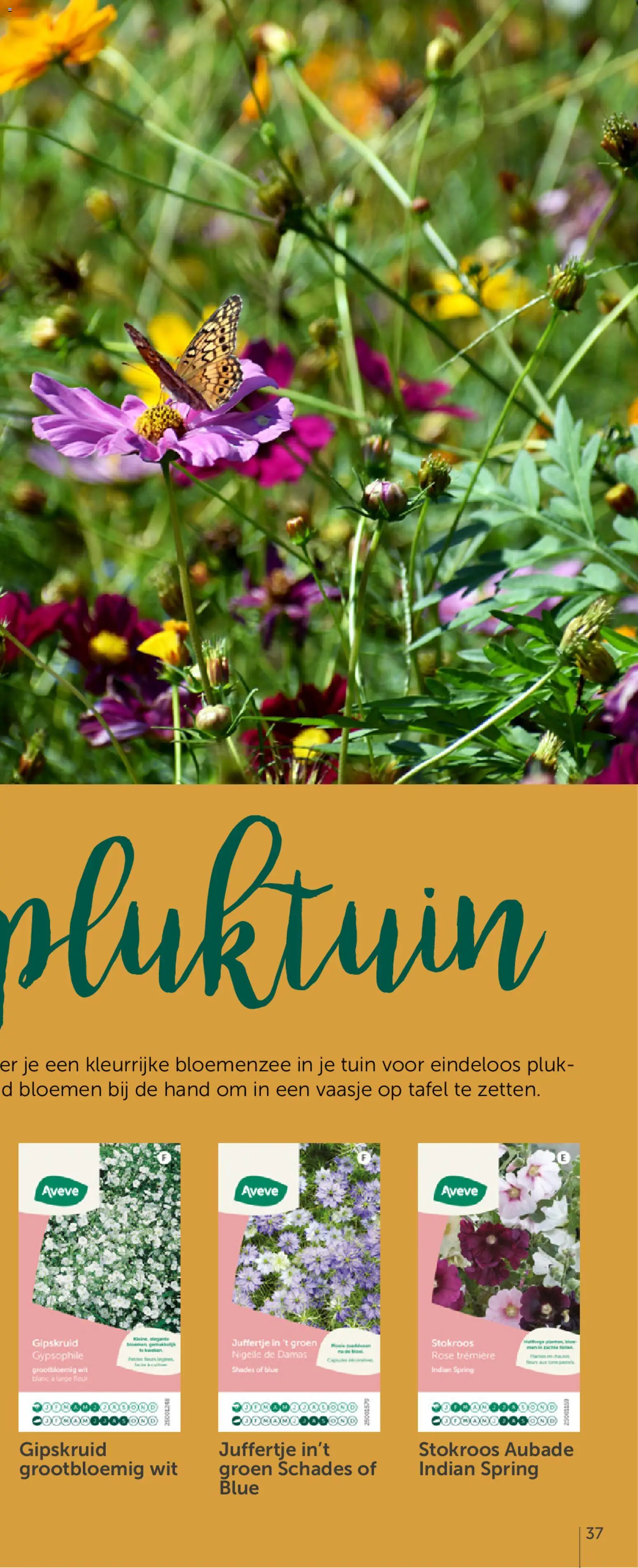 {H1} | Pagina: 73 | Producten: Bloemen, Tafel