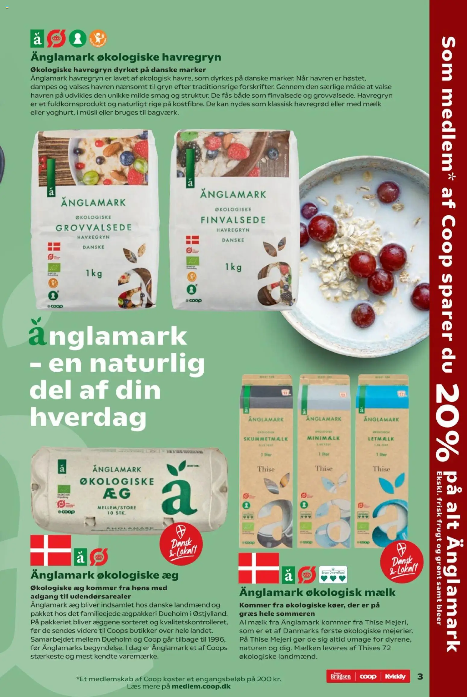 Kvickly tilbudsavis – gyldig fra 28/08/2026 | Side: 3