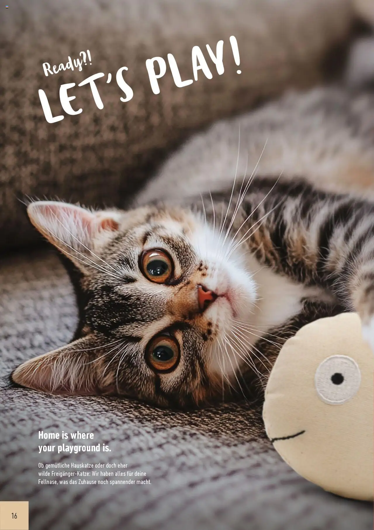 Katalog ProWin Best Friends Juli 2025/Juni 2026 – gültig ab 01.07.2025 | Seite: 16