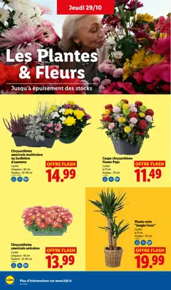 LIDL - Prévisualisation de LIDL catalogue valide à partir de 29/10/2026 | Page: 32