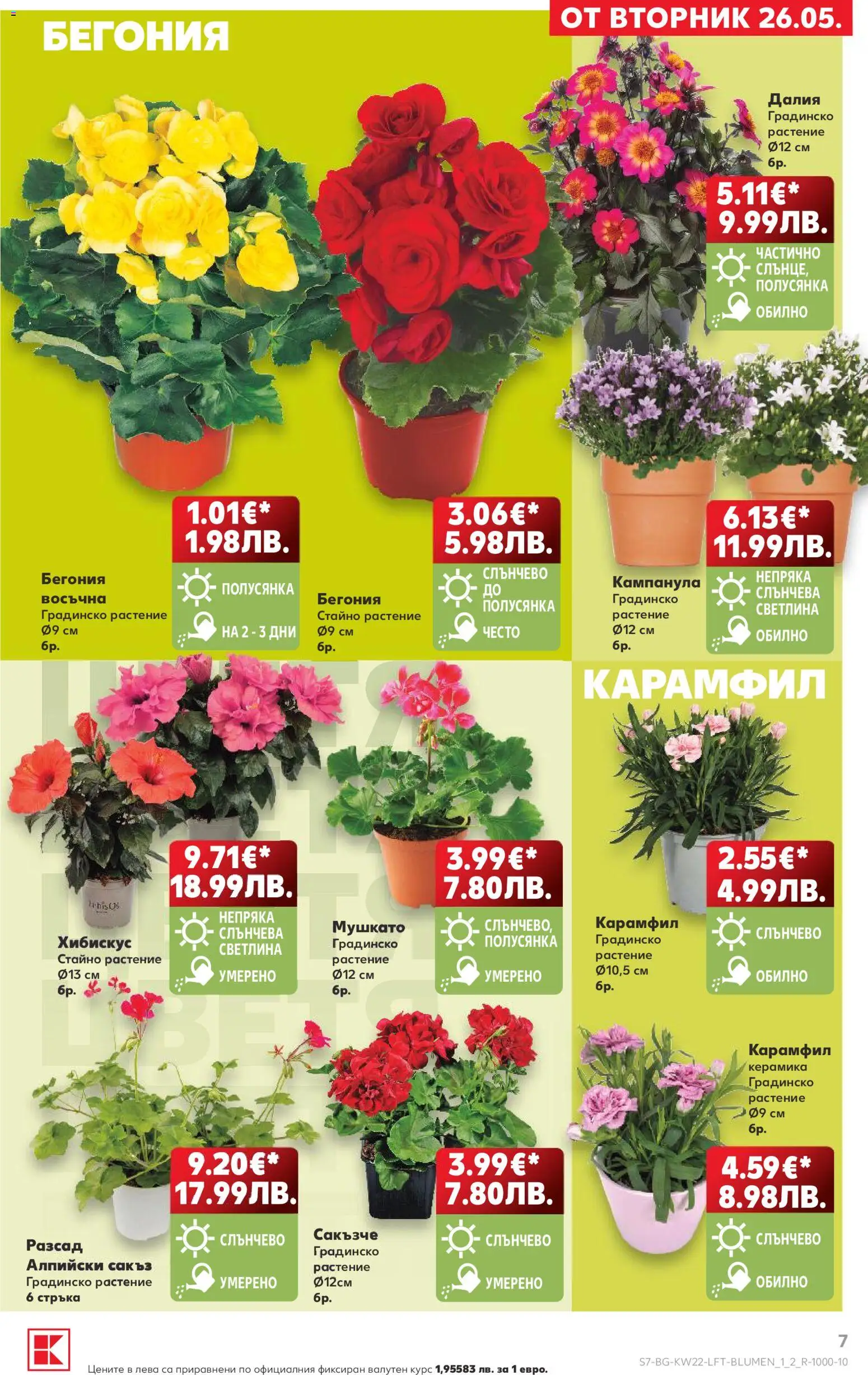 {H1} | Страница: 7 | Продукти: Карамфил