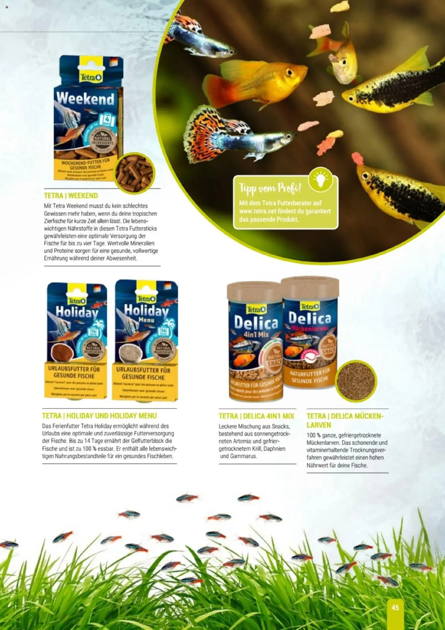 zookauf Themenkatalog Aqua – gültig ab 01.10.2026 | Seite: 45