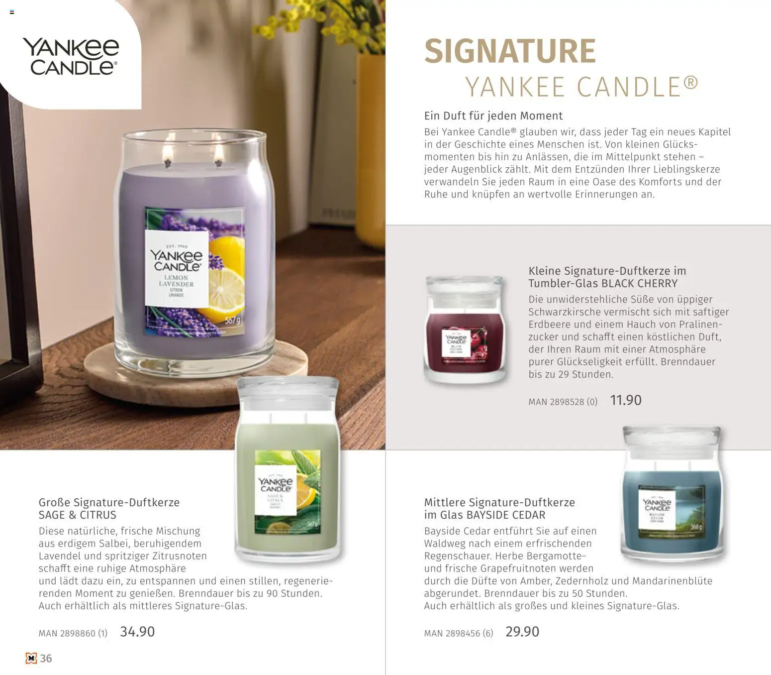 Müller Haushaltskatalog – gültig ab 01.10.2026 | Seite: 36 | Produkte: Duft, Zucker, Lavendel