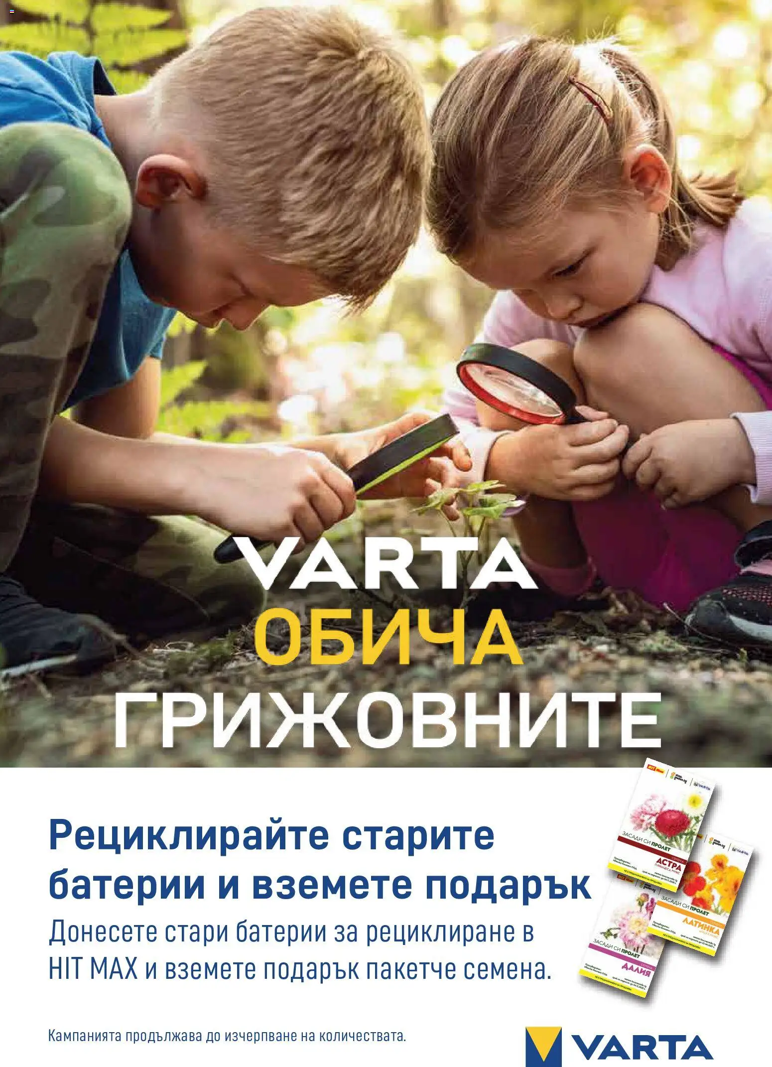 {H1} | Страница: 13 | Продукти: Масло, Батерии, Семена