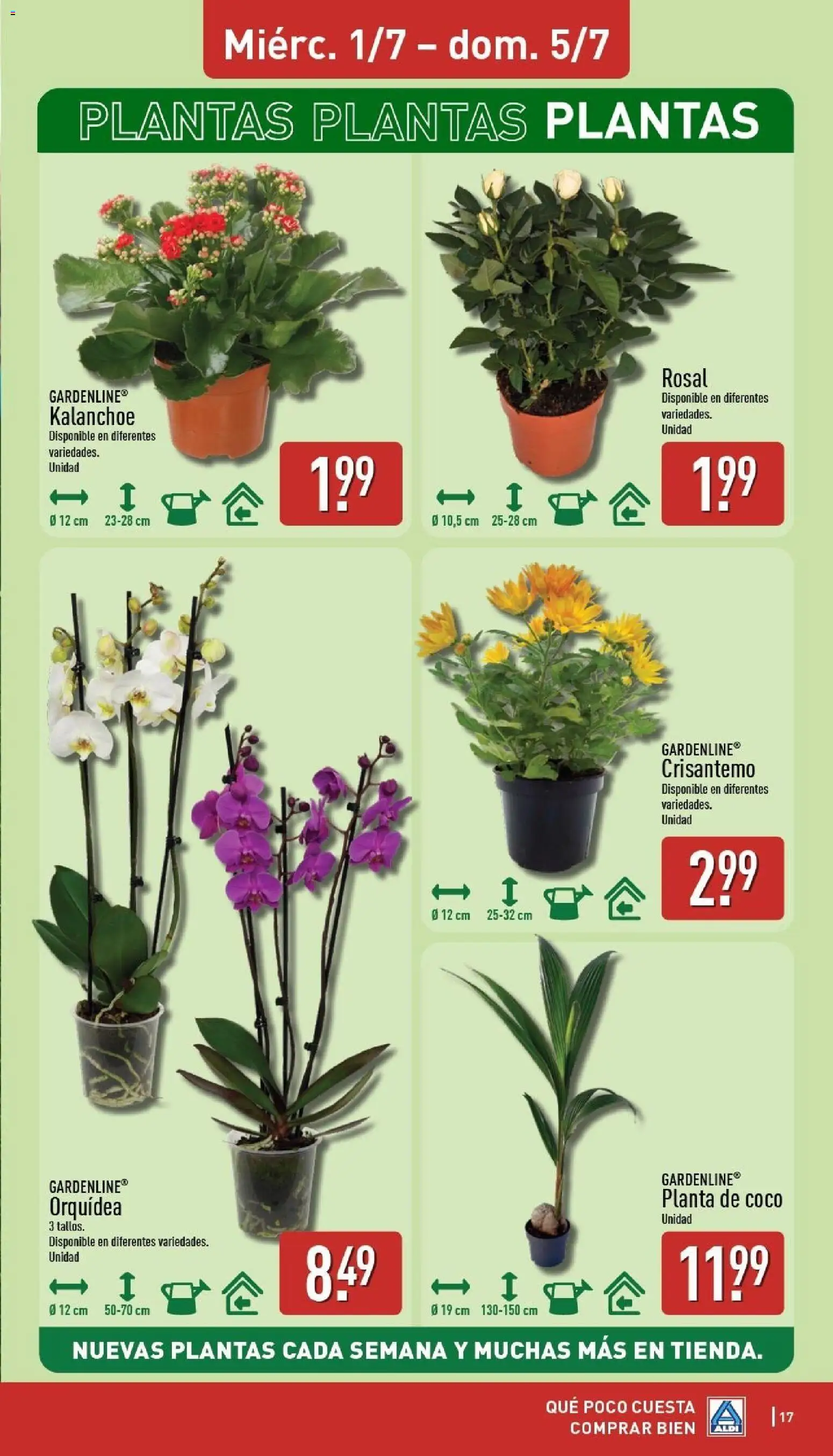 Aldi folleto Península │ válido desde el 29/06/2026 | Página: 17