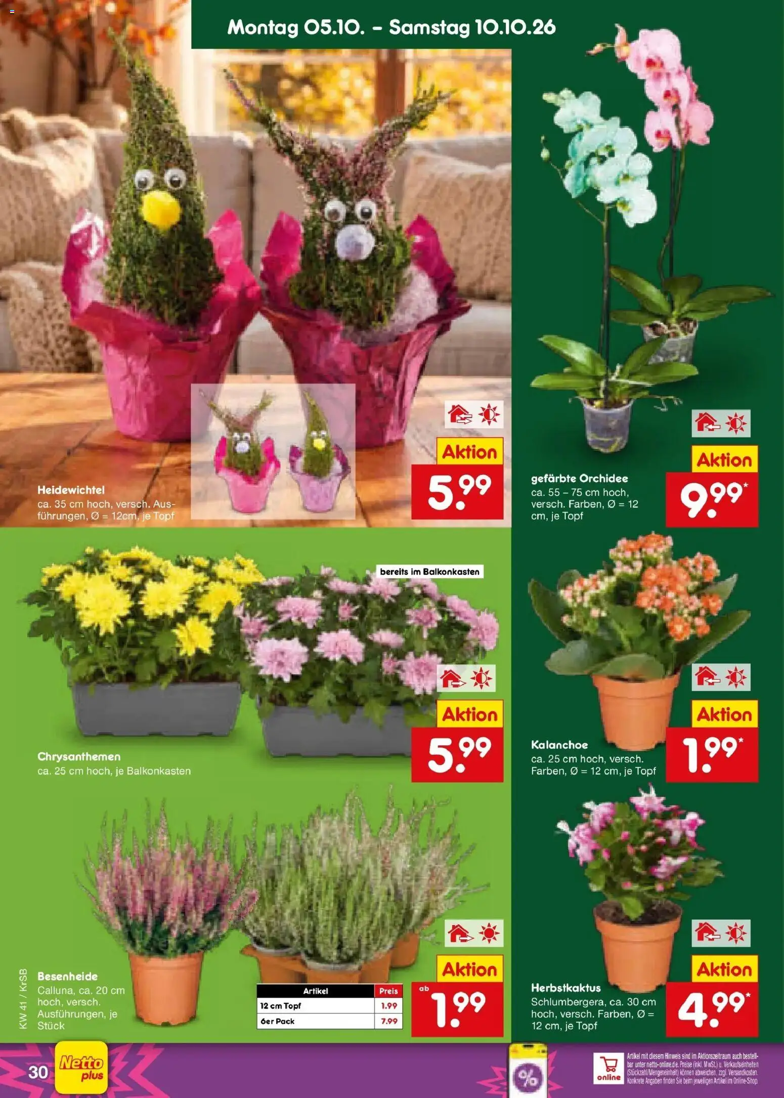 Netto Marken-Discount Prospekt Baesweiler (ab 05.10.2026) » Angebote | Seite: 38 | Produkte: Orchidee