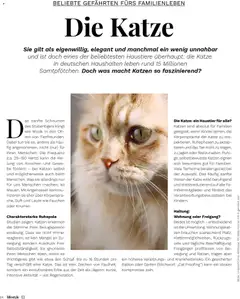 Müller Lifestyle ab 05.05.2026 gültig | Seite: 84