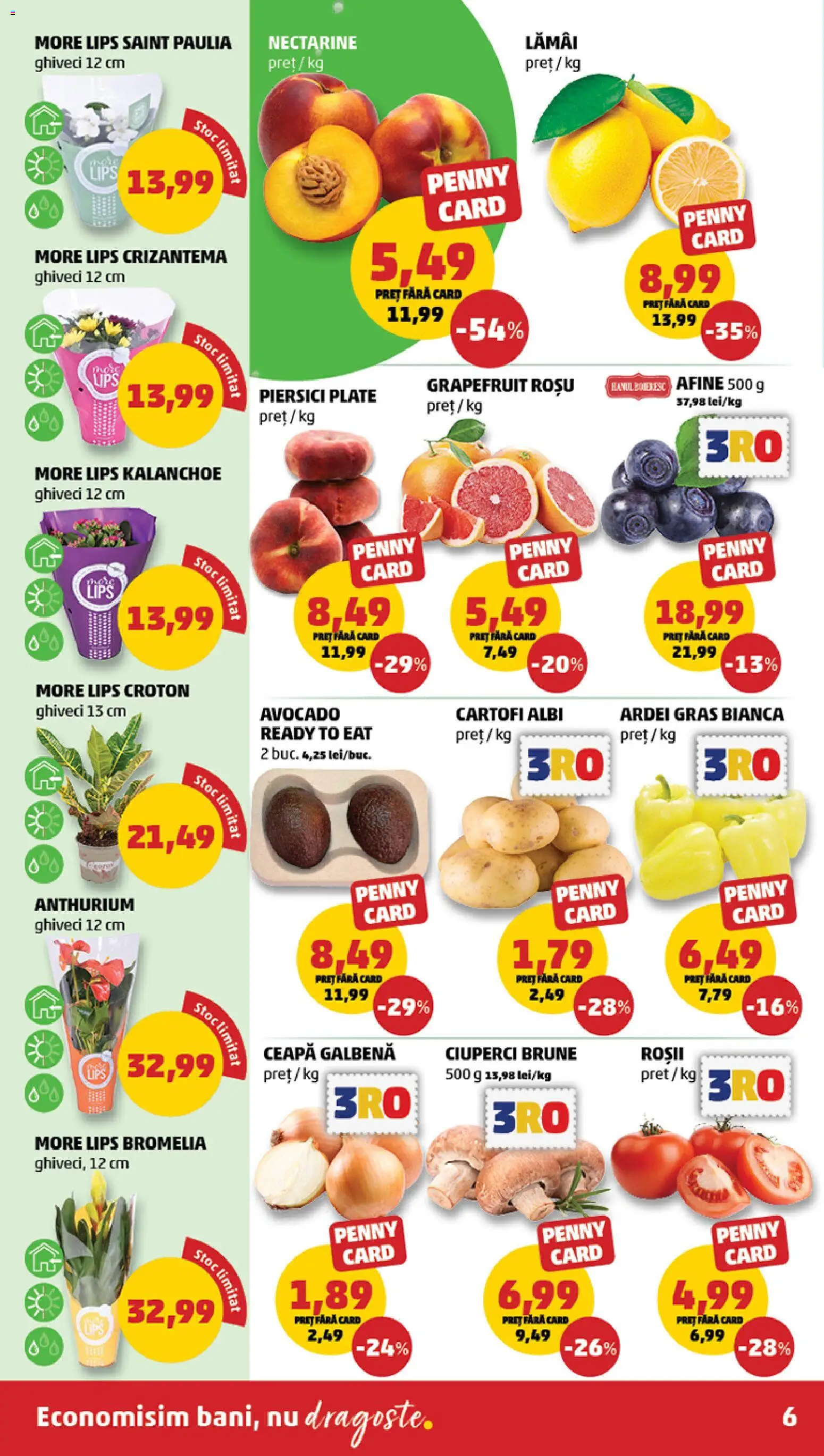 Noul catalog PENNY – valabil de la 22.07.2026 | Pagină: 6 | Produse: Ceapă galbenă, Ghiveci, Roșii, Ceapă