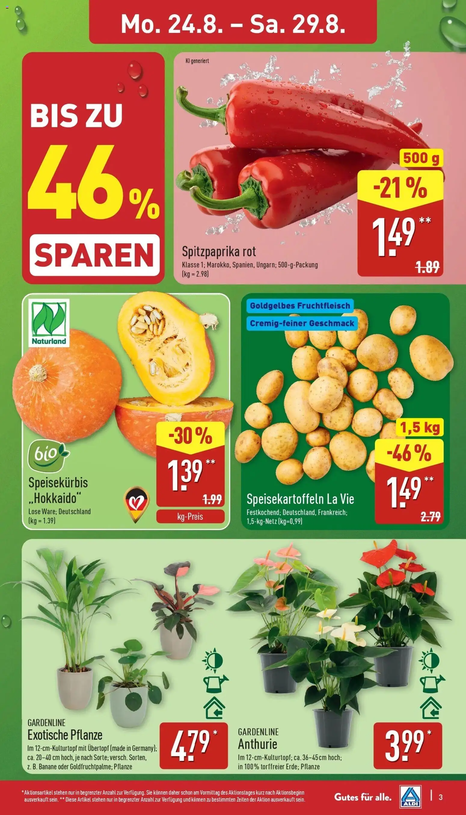 Aldi Aktueller Prospekt (ab 24.08.2026) » Angebote Online | Seite: 3
