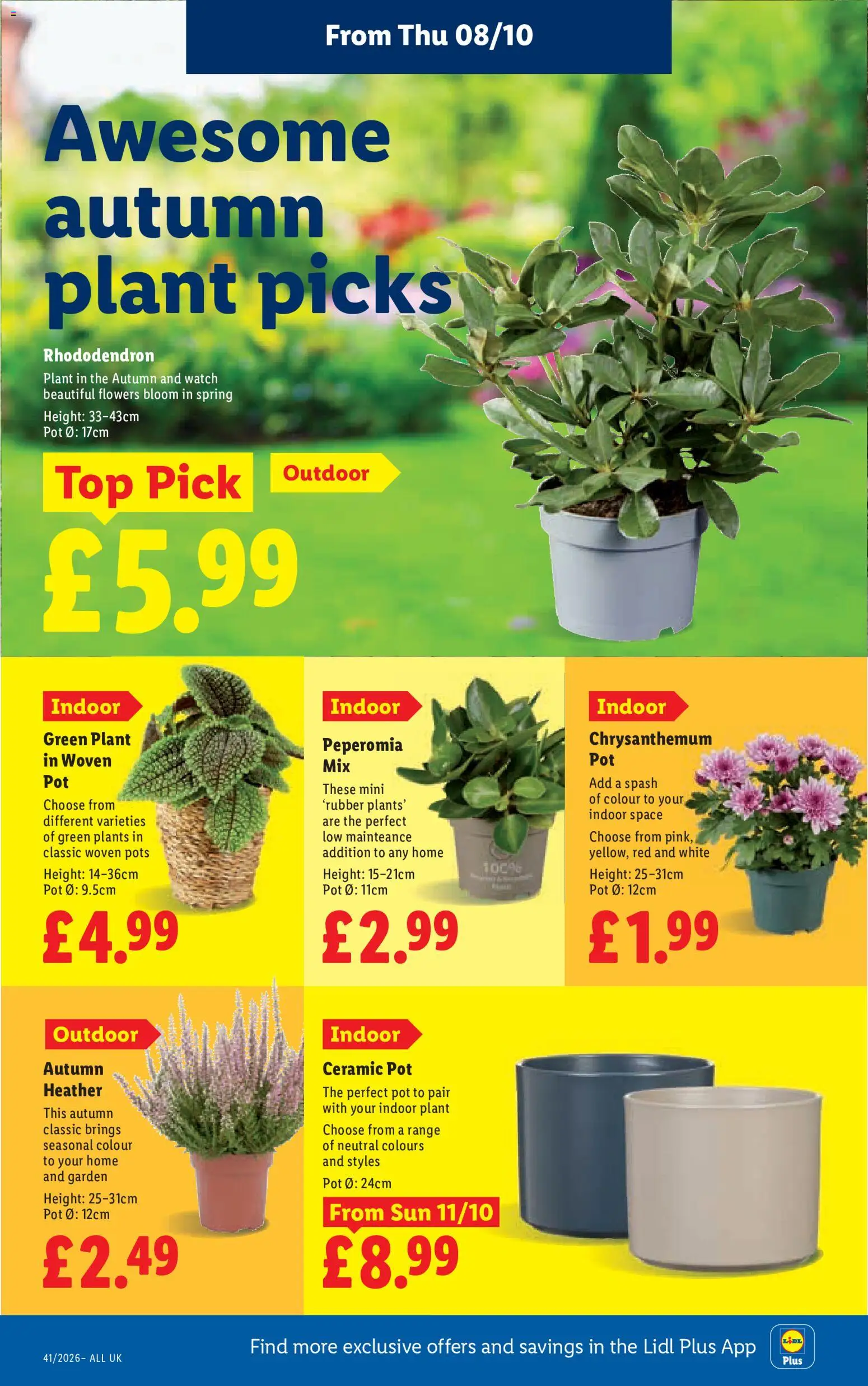 {H1} | Page: 26 | Products: Watch, Flowers, Ceramic pot, Heather