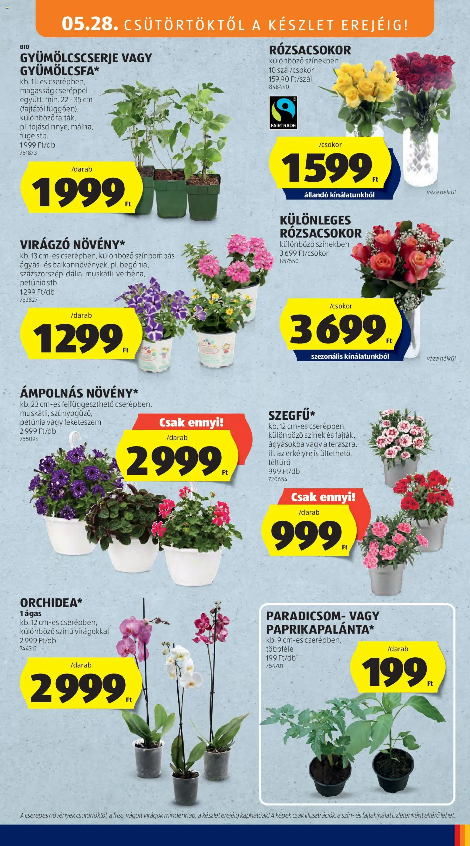 Aldi akciós ujság - amely érvényes a következő dátumtól: 28.05.2026 | Oldal: 9 | Termékek: Virágok, Váza, Füge, Paradicsom
