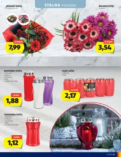 Hofer katalog akcije – veljaven od 14.10.2026 | Stran: 31