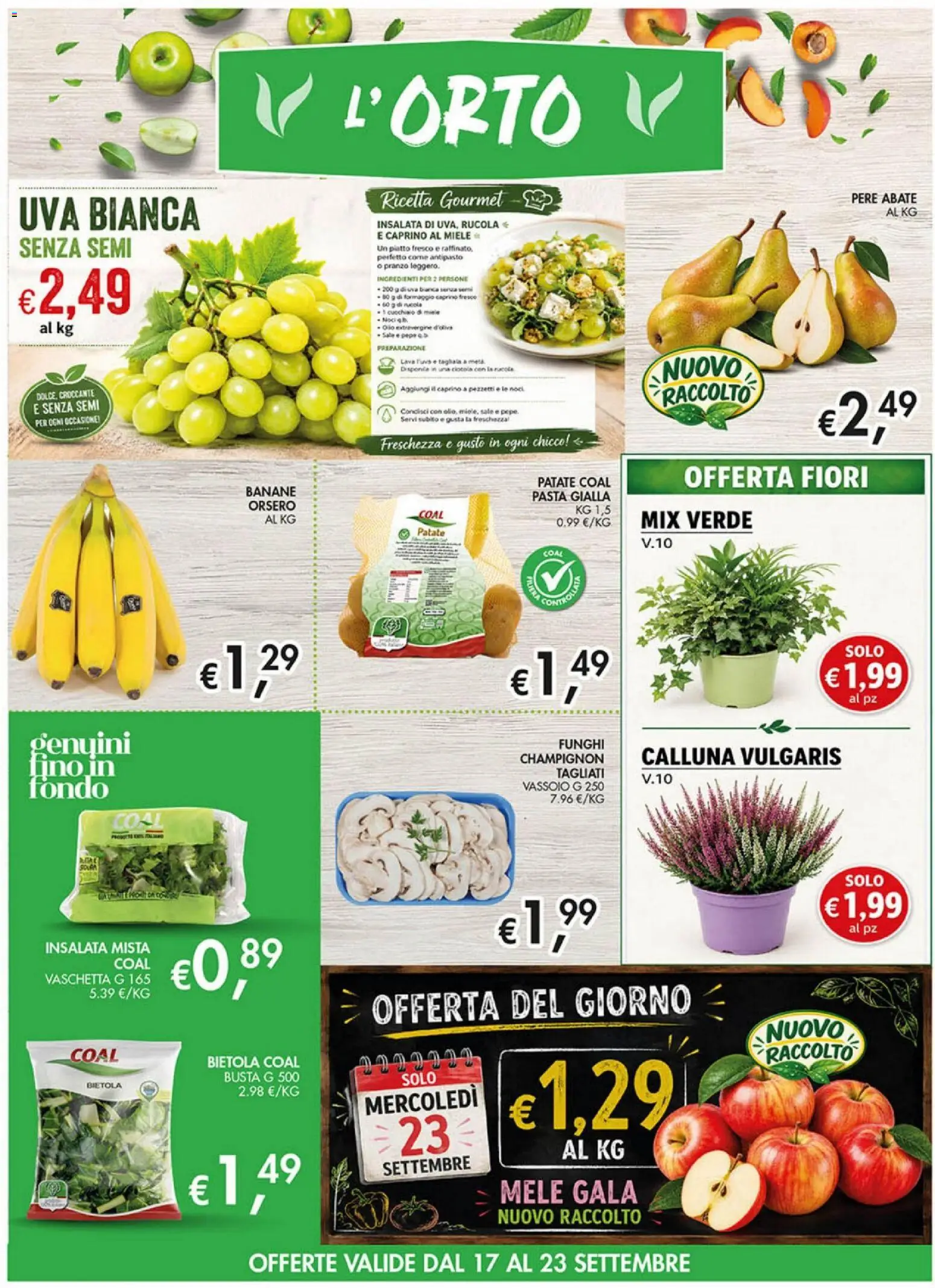 Volantino Coal del 10/09/2026 | Pagina: 7 | Prodotti: Rucola, Funghi, Fiori, Vassoio