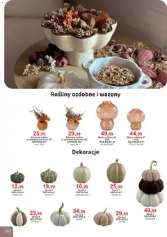 Pogląd oferty "Bodzio Katalog" - ważna od 01.08.2026 | Strona: 162 | Produkty: Dynia, Wazon, Rosliny
