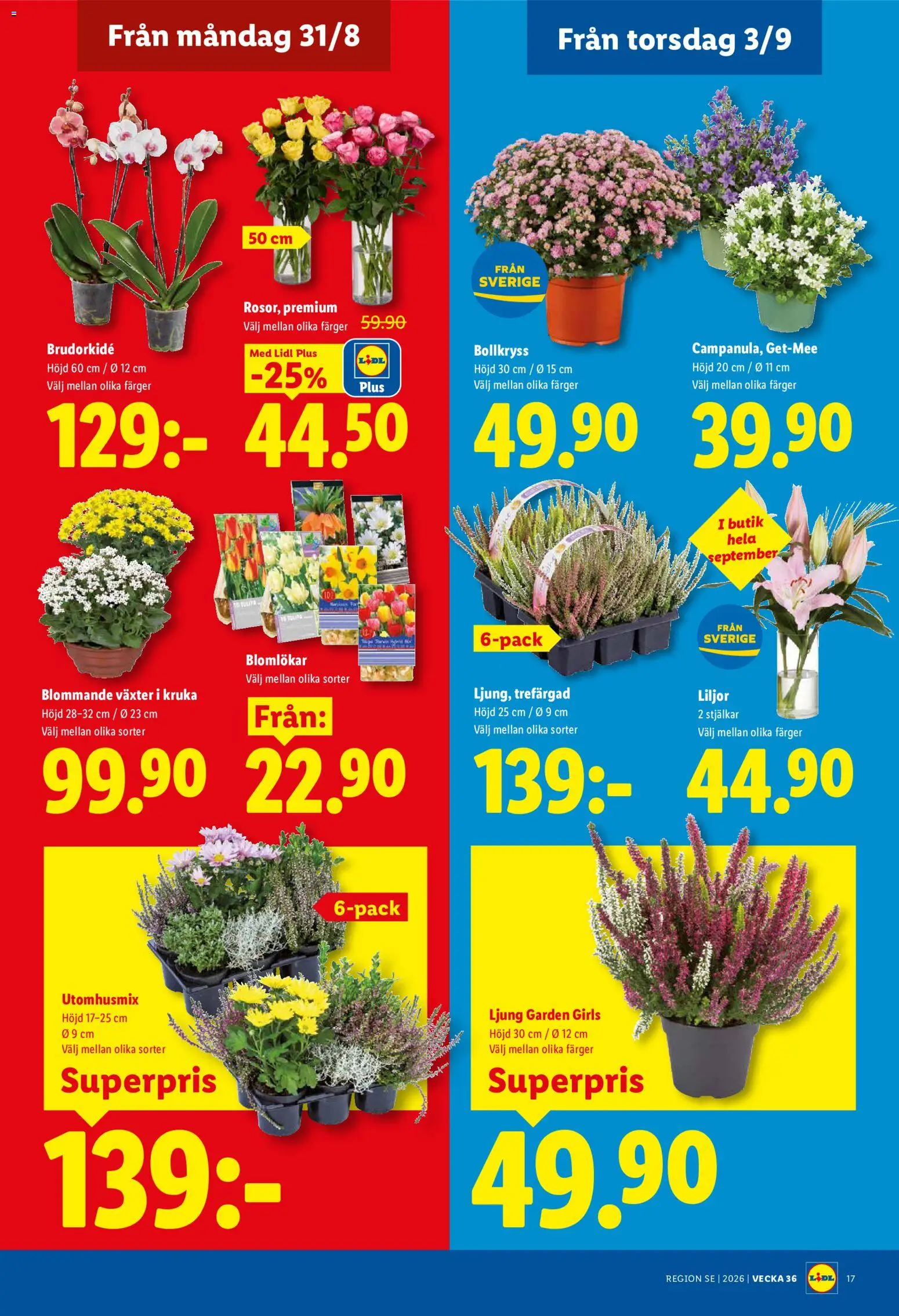 Lidl reklamblad aktuell från 31/08/2026 | Sida: 20 | Produkter: Ljung, Kruka