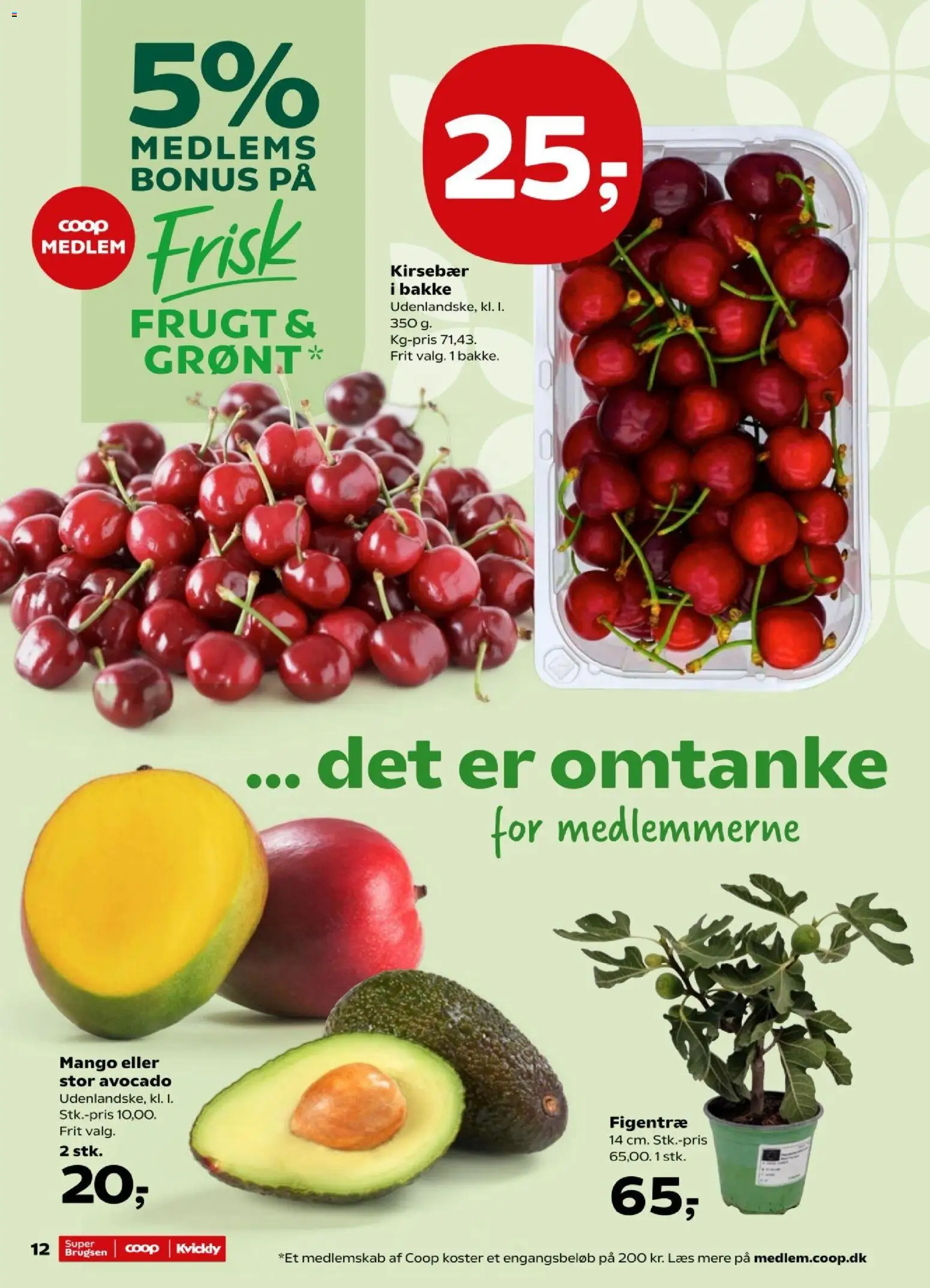 Kvickly tilbudsavis – gyldig fra 12.06.2026 | Side: 14 | Produkter: Mango, Kirsebær, Avocado