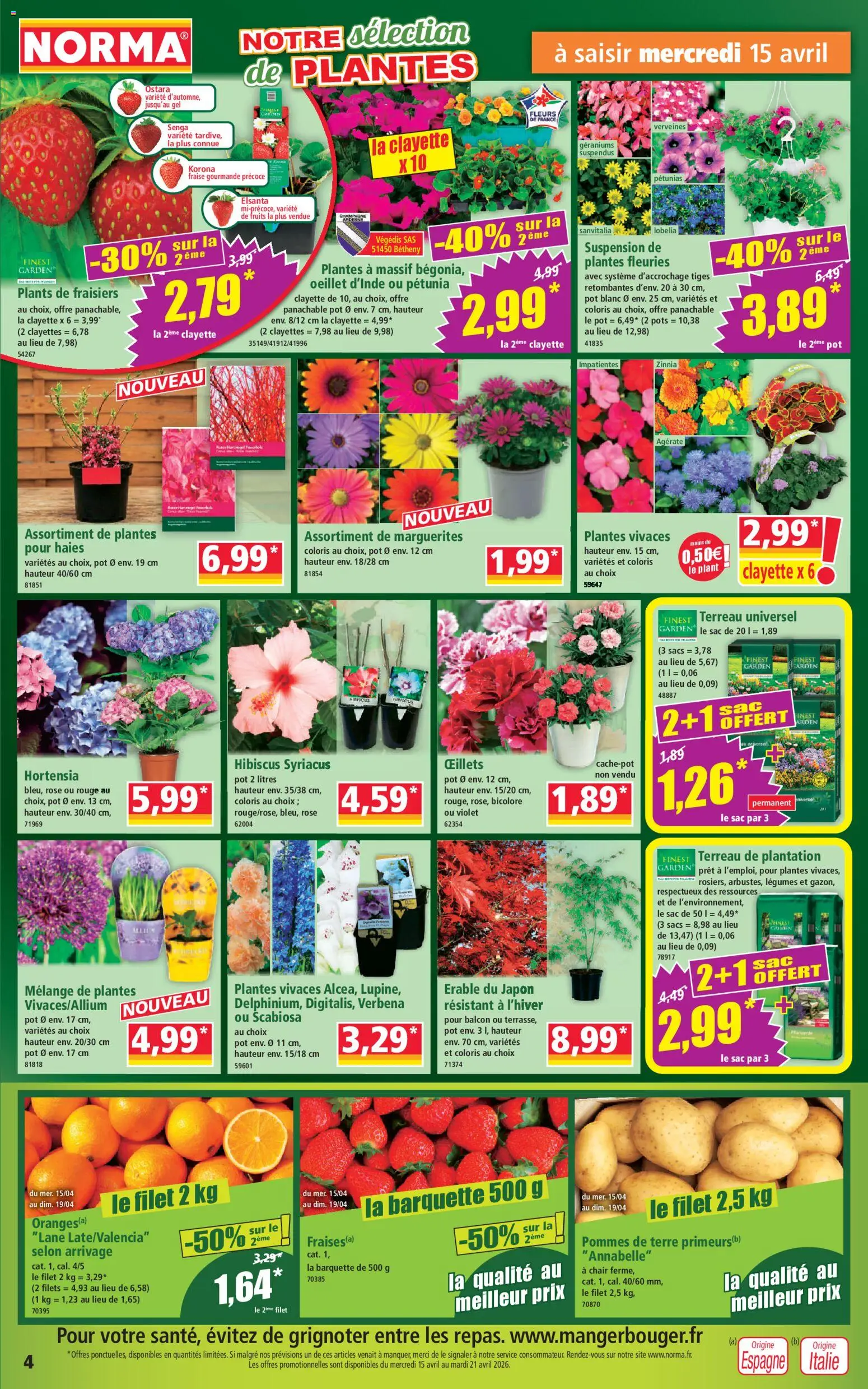 {H1} | Page: 4 | Produits: Hortensia, Fraise, Érable du japon, Suspension