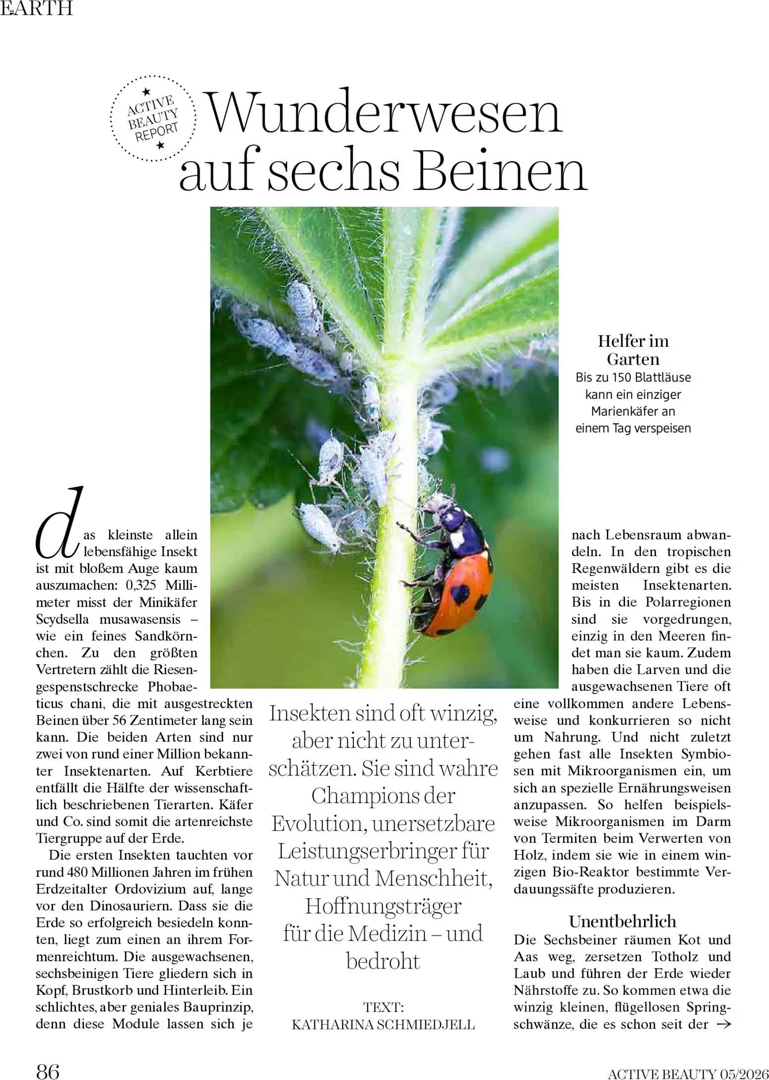 dm drogerie markt Active Beauty Magazin 05/2026 gültig ab 01.05.2026 | Seite: 86