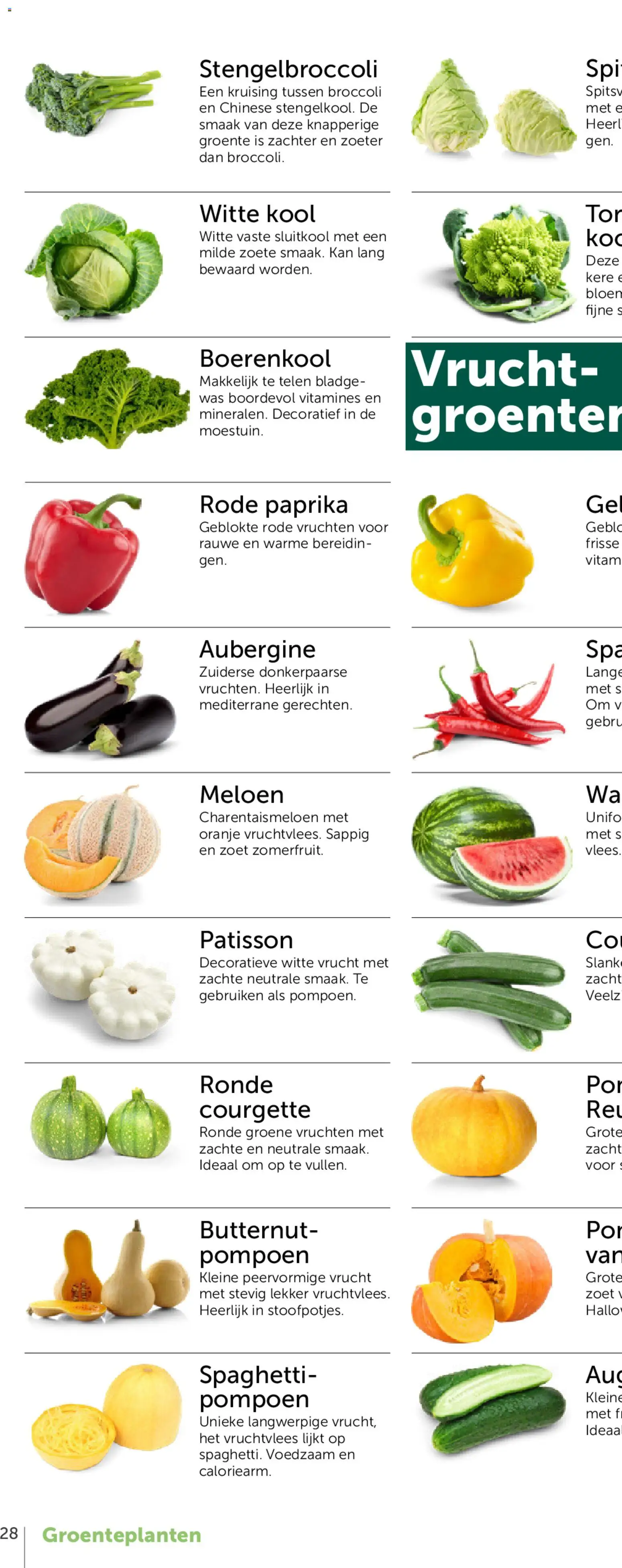 {H1} | Pagina: 54 | Producten: Antipasti, Courgette, Broccoli, Kan