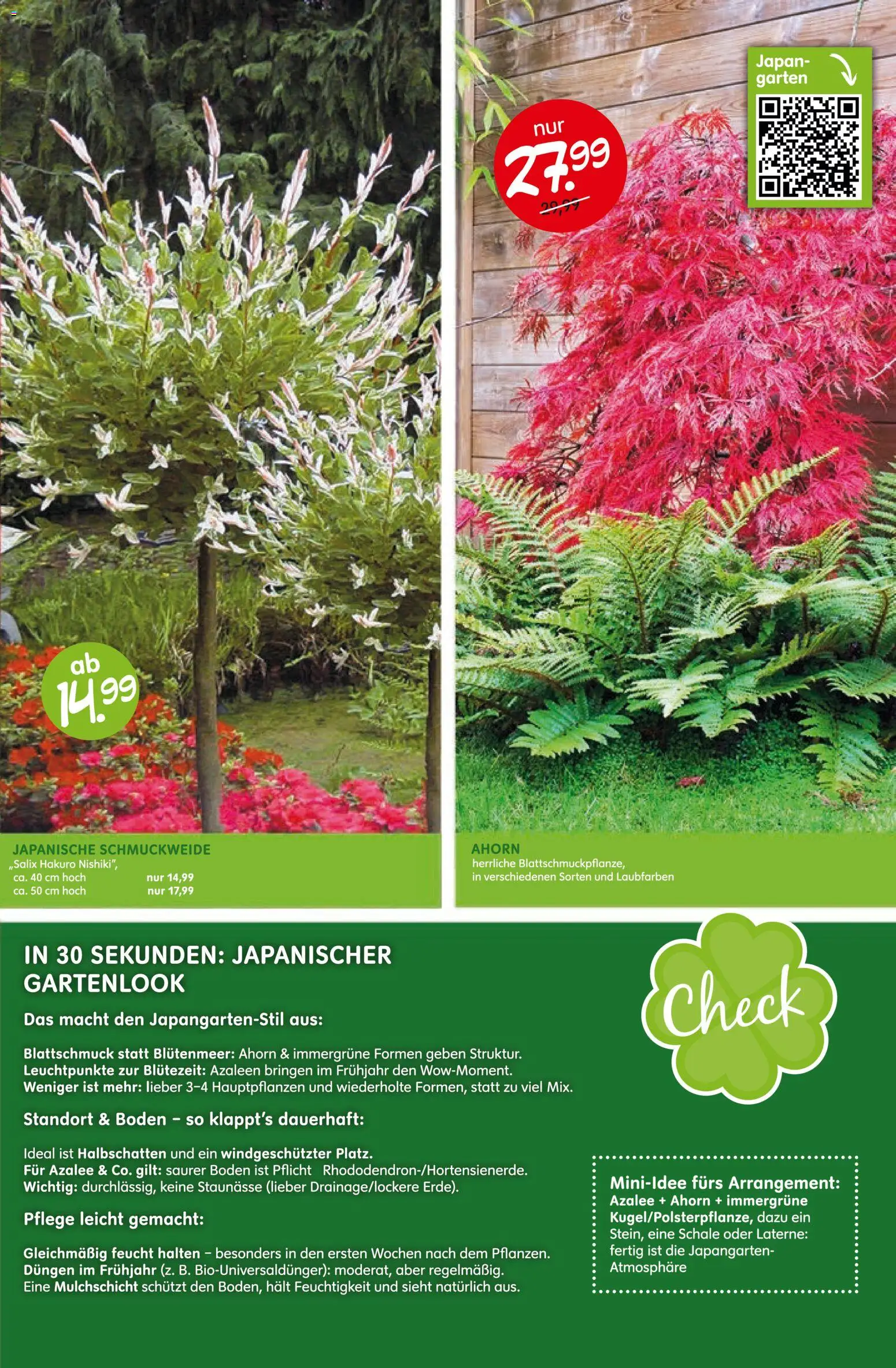 Blumen Risse Prospekt Blumenmarkt – gültig ab 28.05.2026 | Seite: 13
