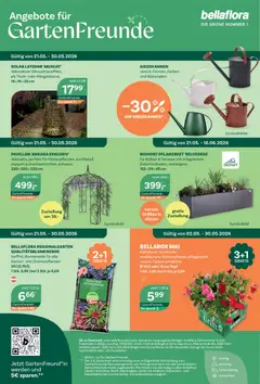 bellaflora Flugblatt ab 21.05.2026 gültig | Seite: 8 | Produkte: Tisch