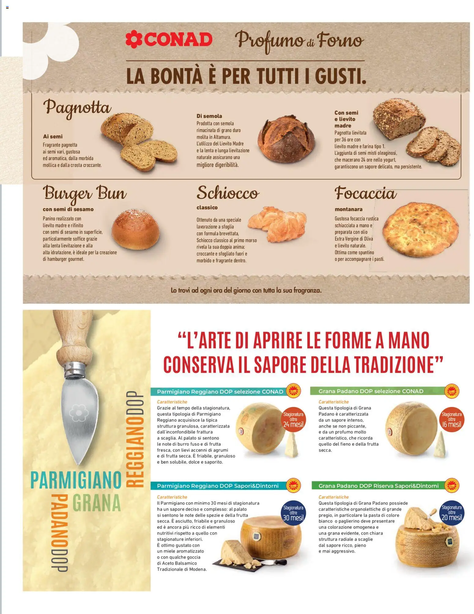 Volantino Conad del 03/07/2026 | Pagina: 13 | Prodotti: Focaccia, Frutta, Olio, Parmigiano reggiano