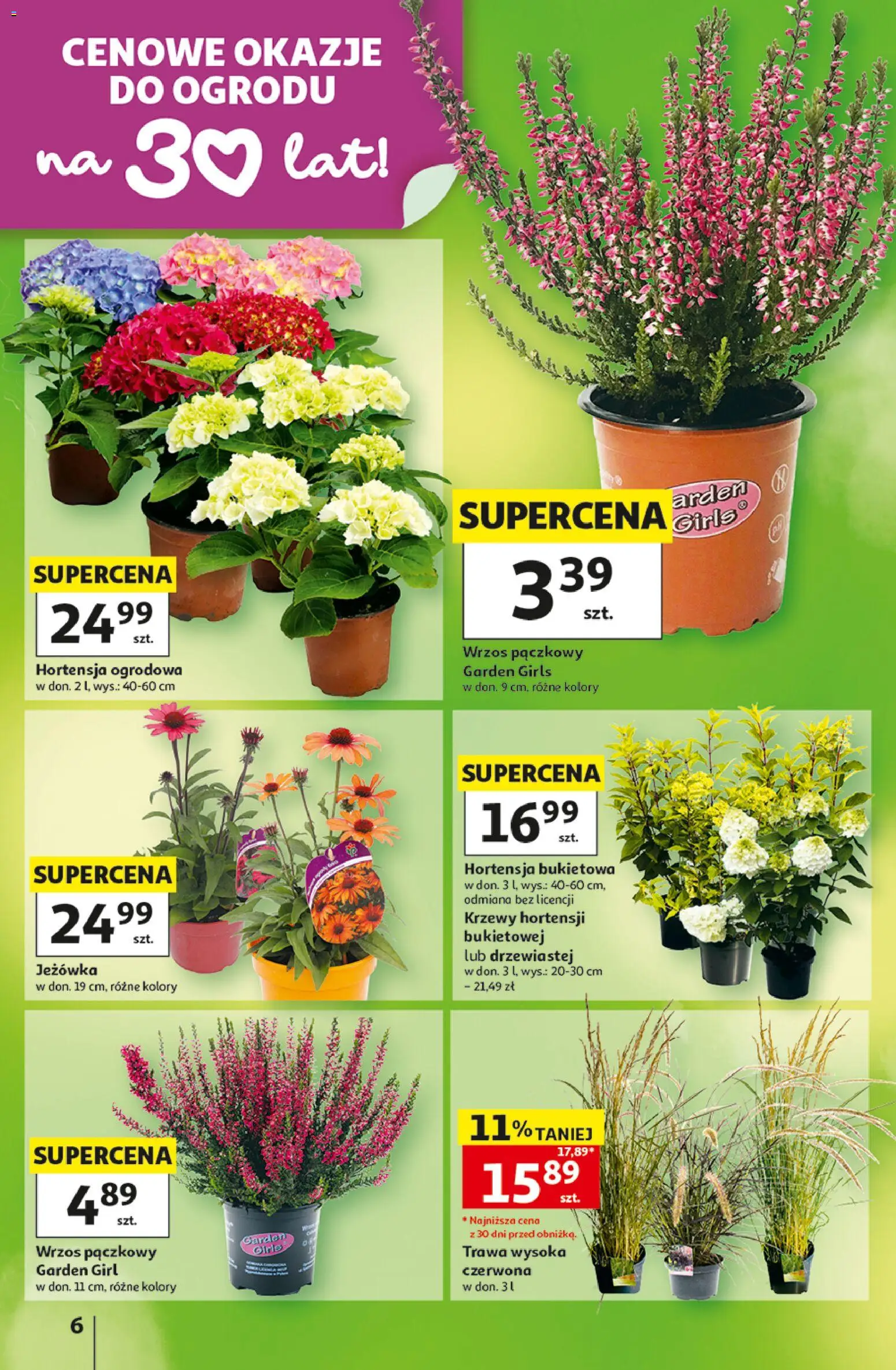 Auchan gazetka - 30 Lat Hipermarket od 20.08.2026 | Strona: 6 | Produkty: Wrzos, Hortensja bukietowa, Hortensja