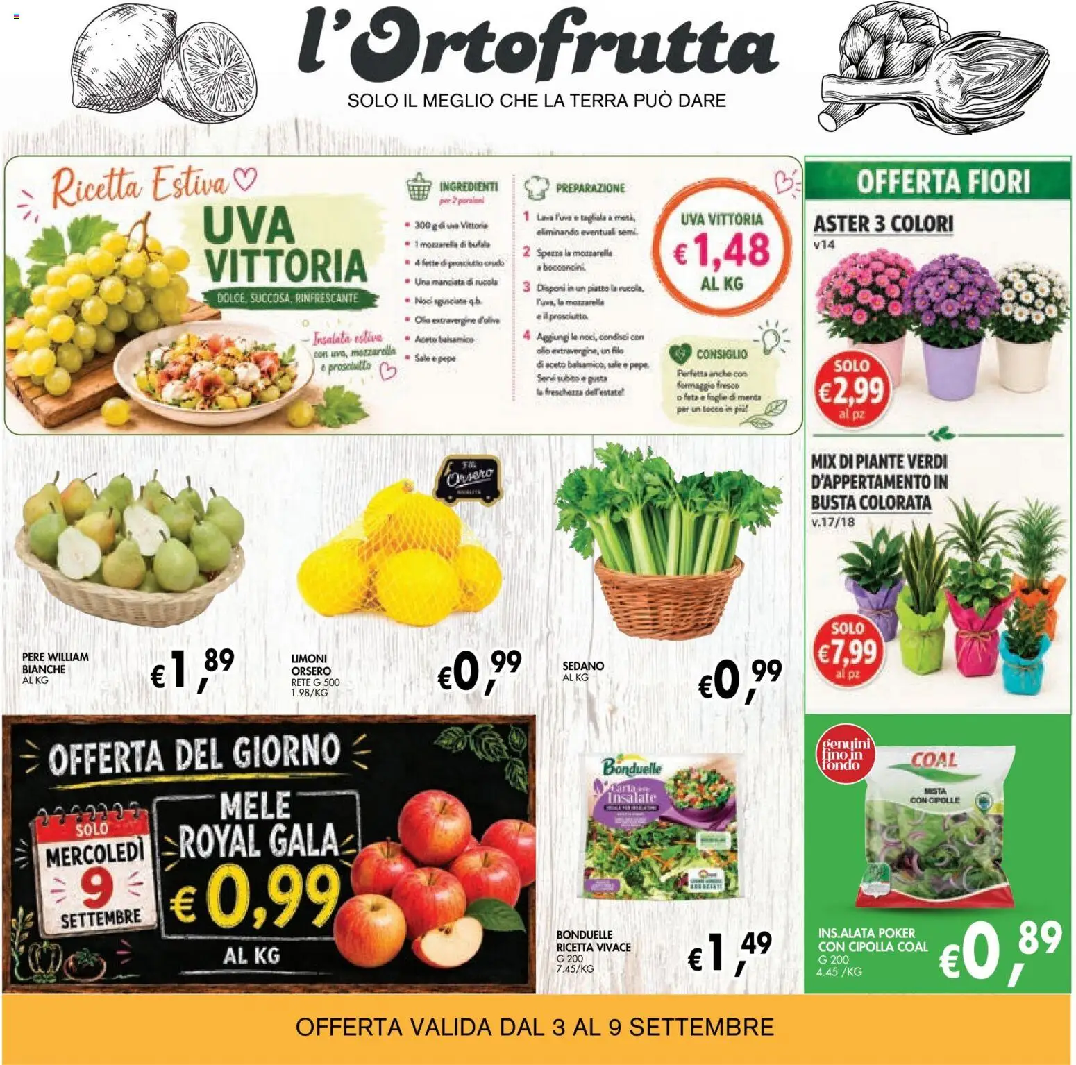 Volantino Coal del 28/08/2026 | Pagina: 3 | Prodotti: Mele, Lima, Pepe, Menta