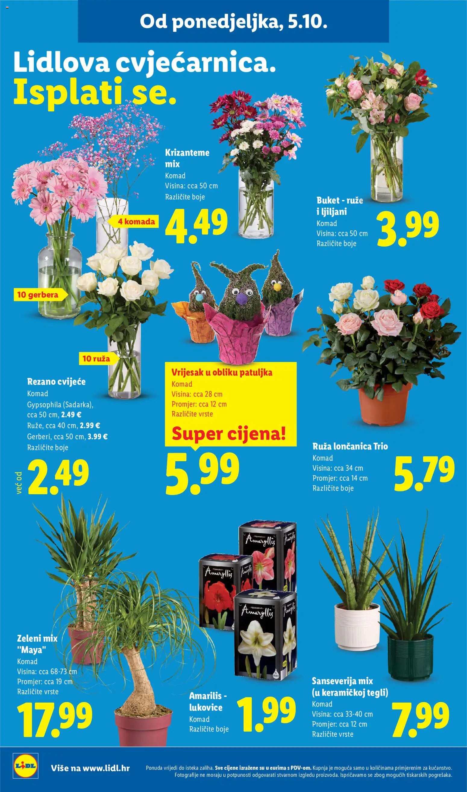Lidl katalog | vrijedi od 05.10.2026 | Stranica: 52 | Proizvodi: Cvijeće, Vrijesak, Loncanica, Ruza