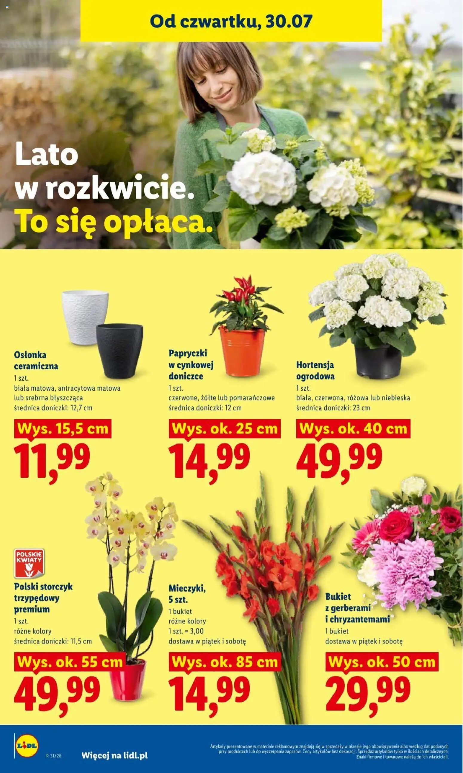Lidl gazetka od 30.07.2026 | Strona: 94 | Produkty: Chili, Doniczki, Storczyk, Kwiaty